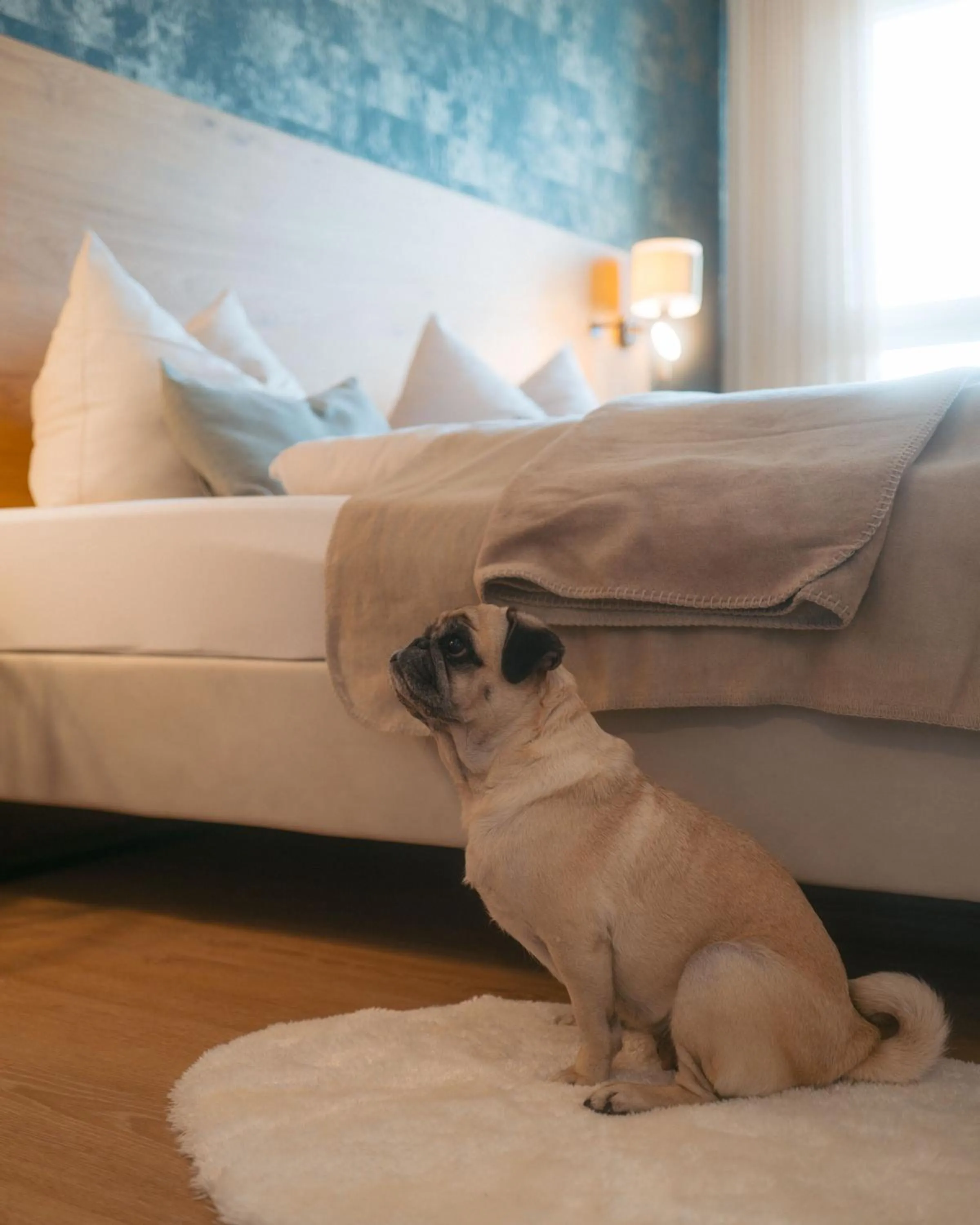 Animals, Bed in Hotel Poellners 20 min von München Hbf