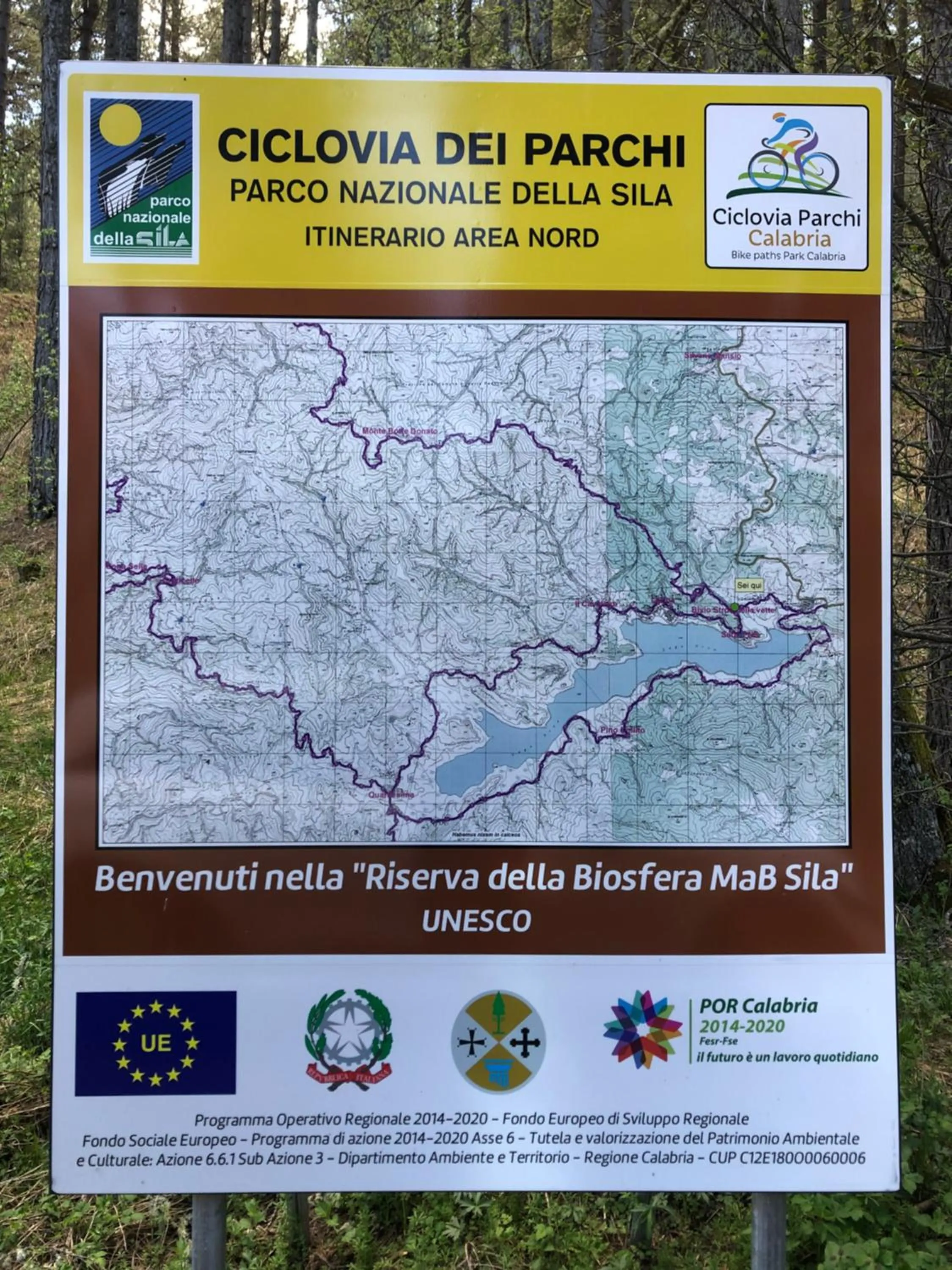Floor plan in Arvo Residence Sila Lorica