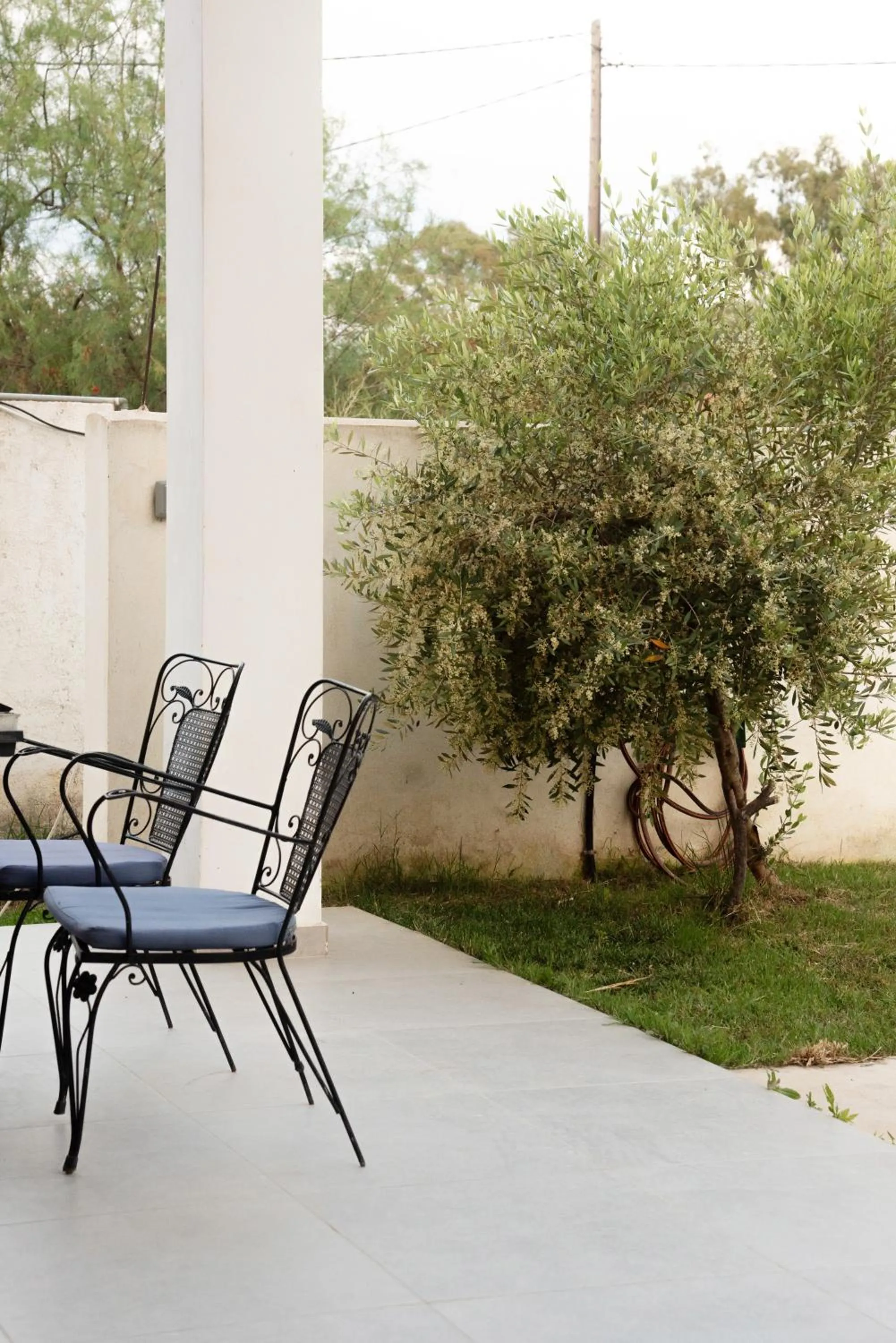 Garden in Victoria's Suites Corfu