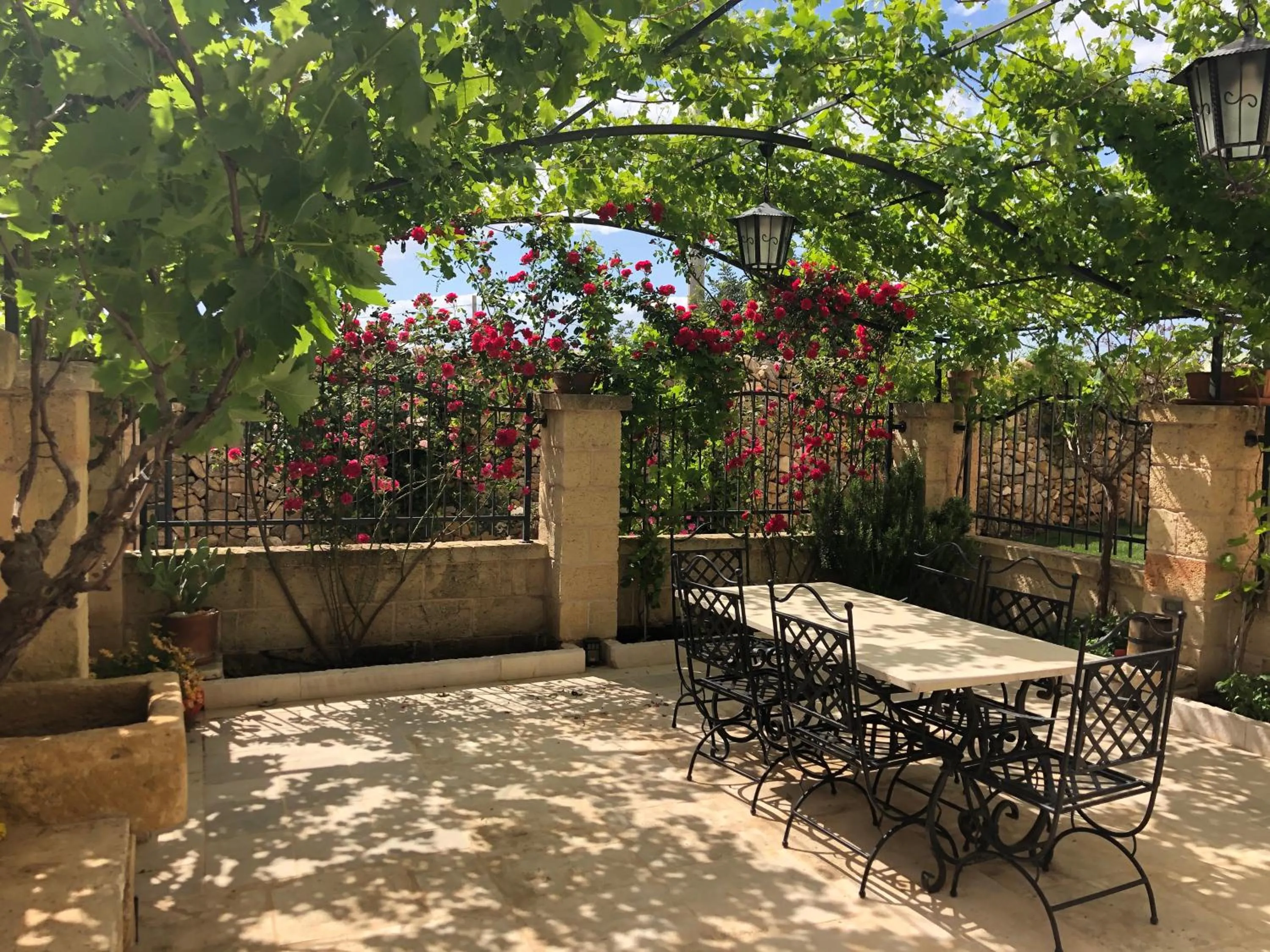Garden view in Masseria Antoglia
