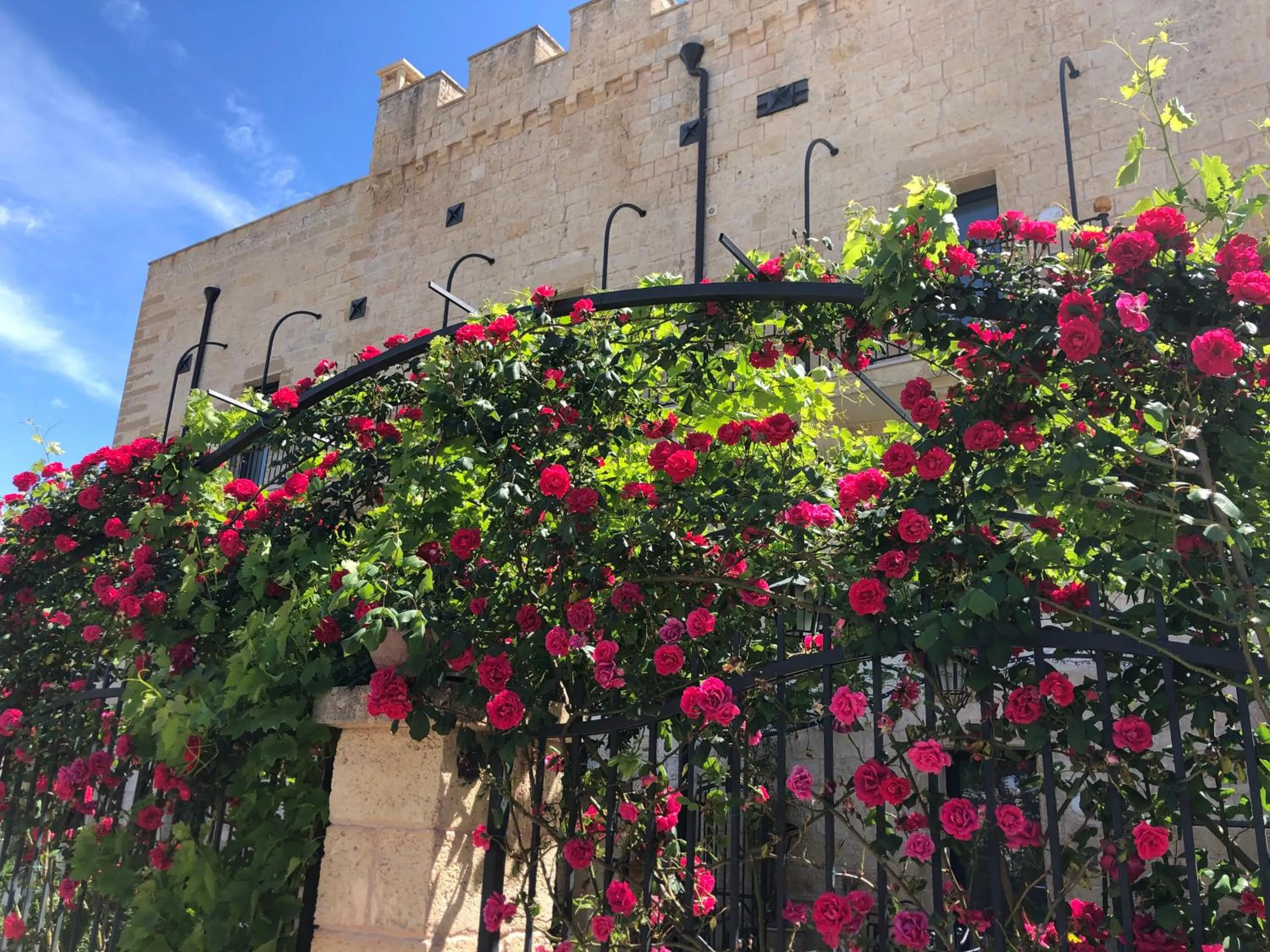 Garden in Masseria Antoglia