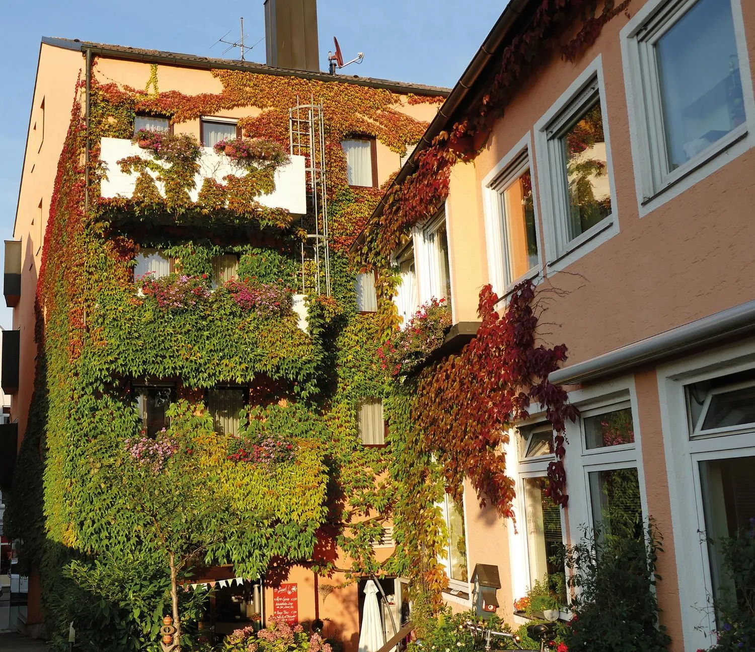 Property building in Hasi's Hotel