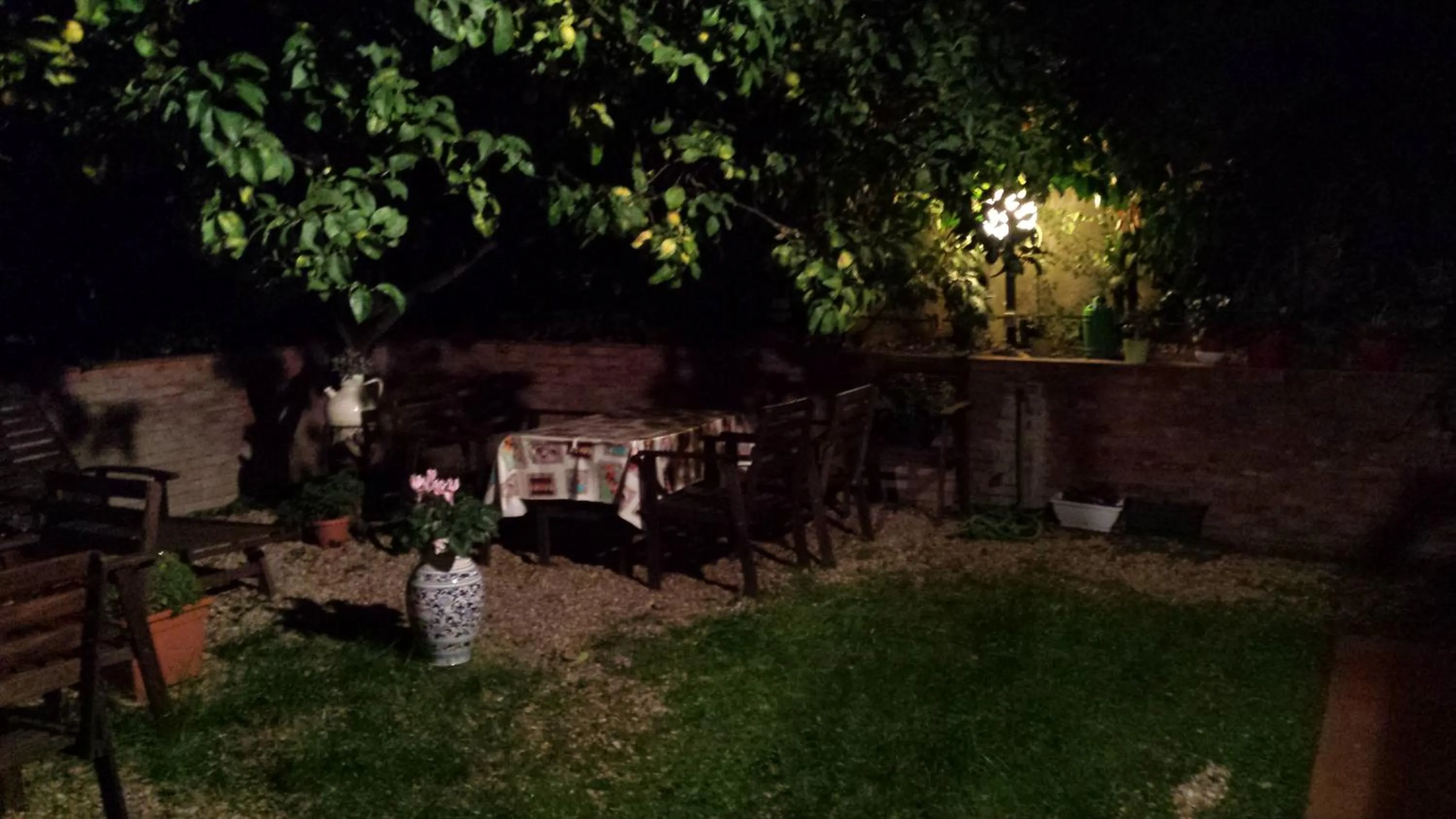 Garden in St. John Villa