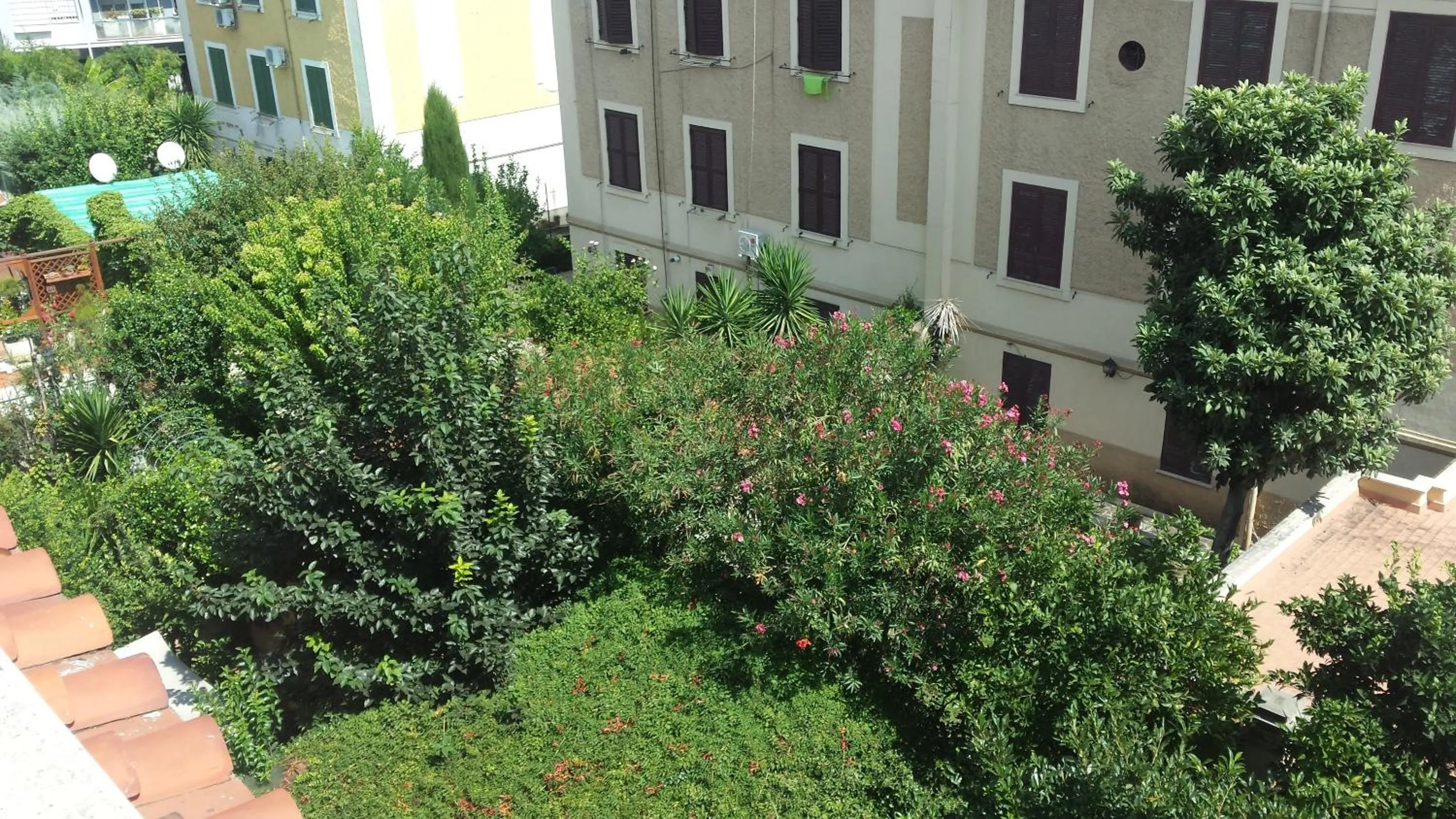 Garden view in St. John Villa