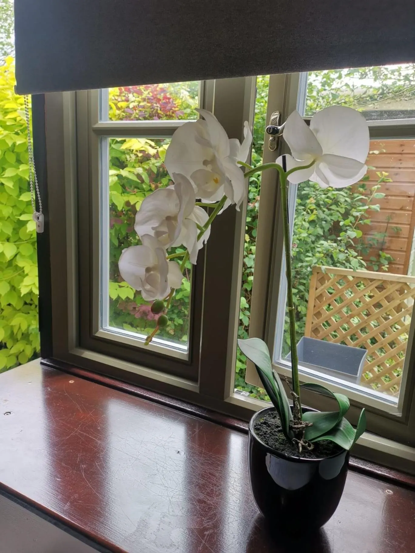 View (from property/room) in The Babbling Brook