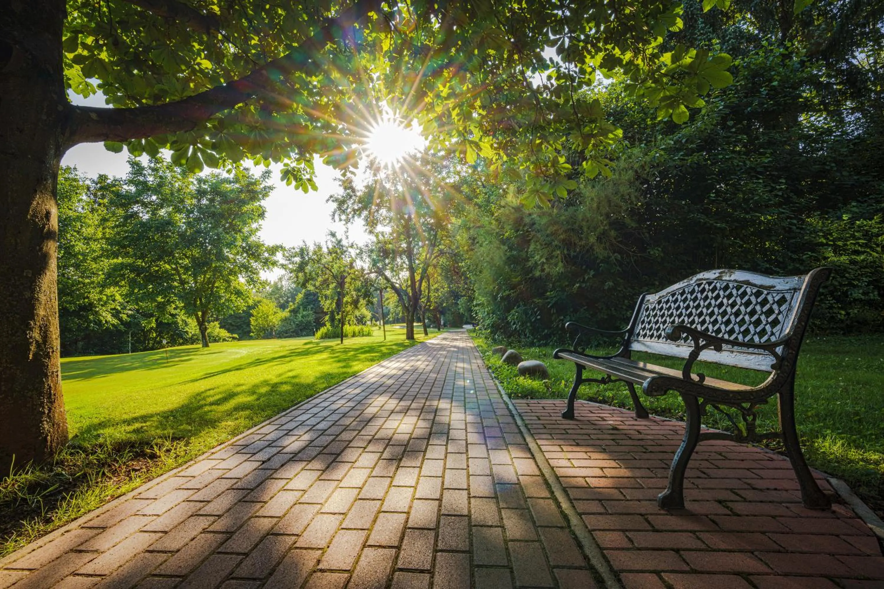 Garden in Parkhotel Maasberg GmbH