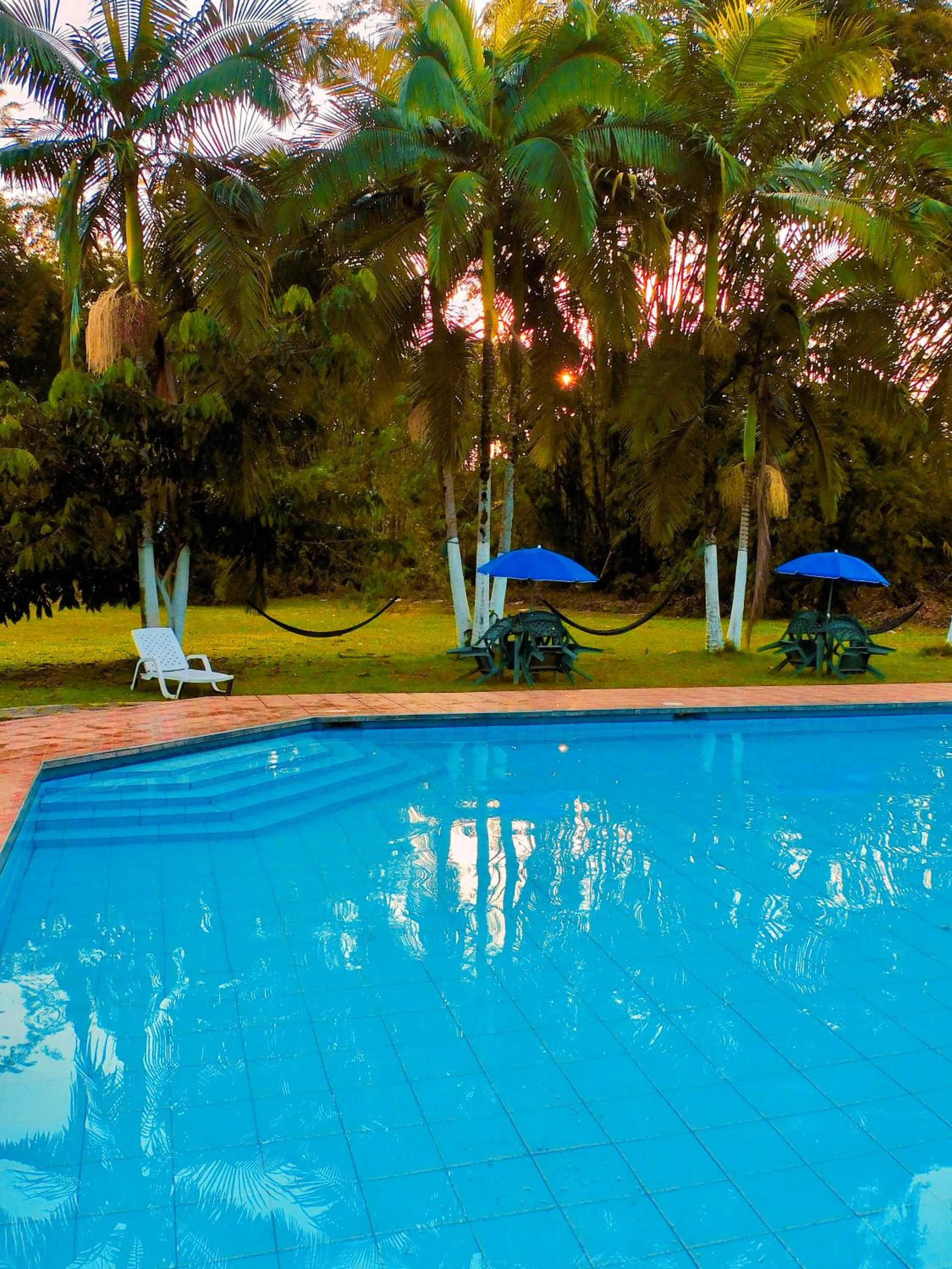 Day in Puerto Quito Lodge - Las Iguanas