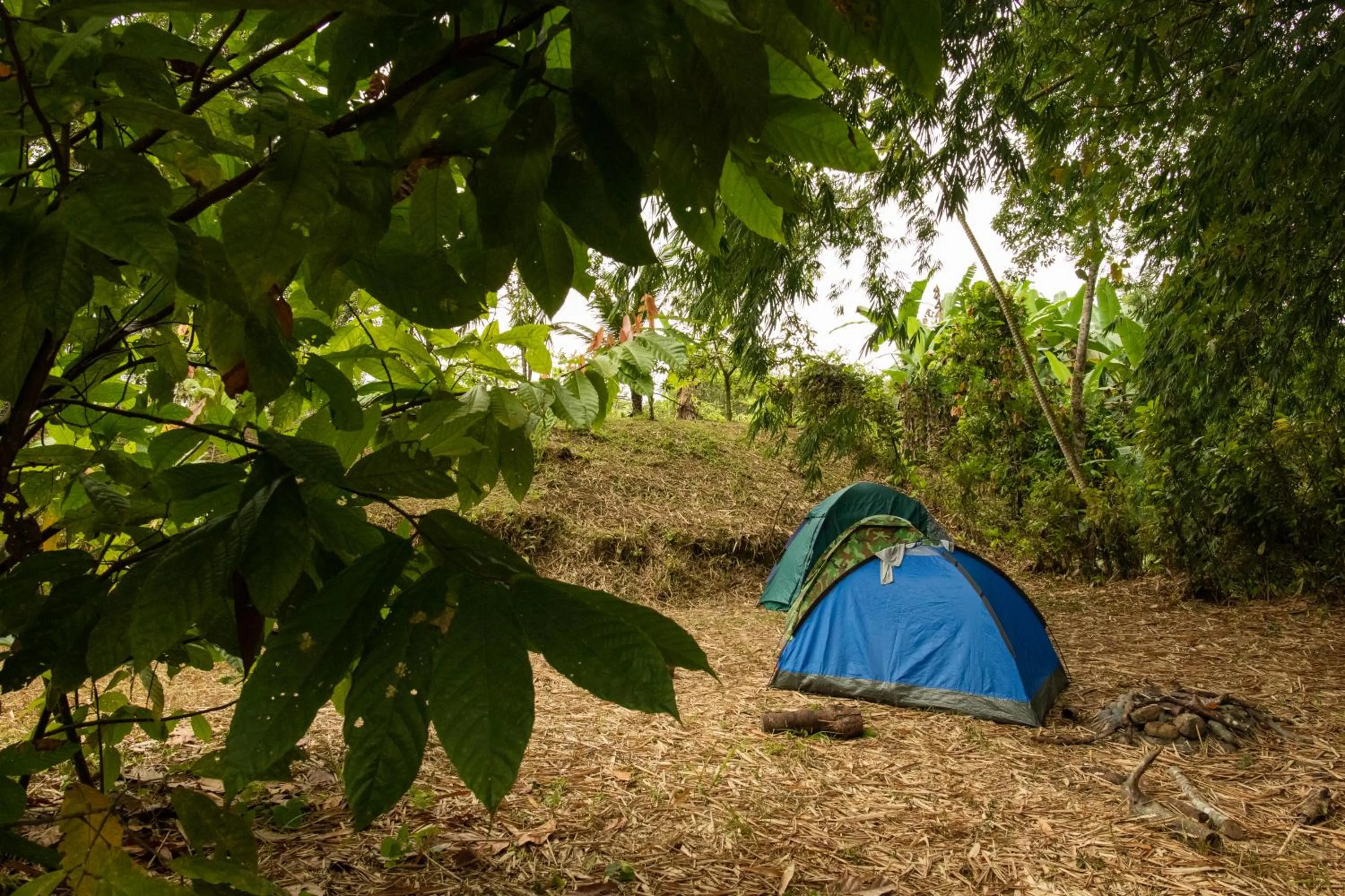 Day in Puerto Quito Lodge