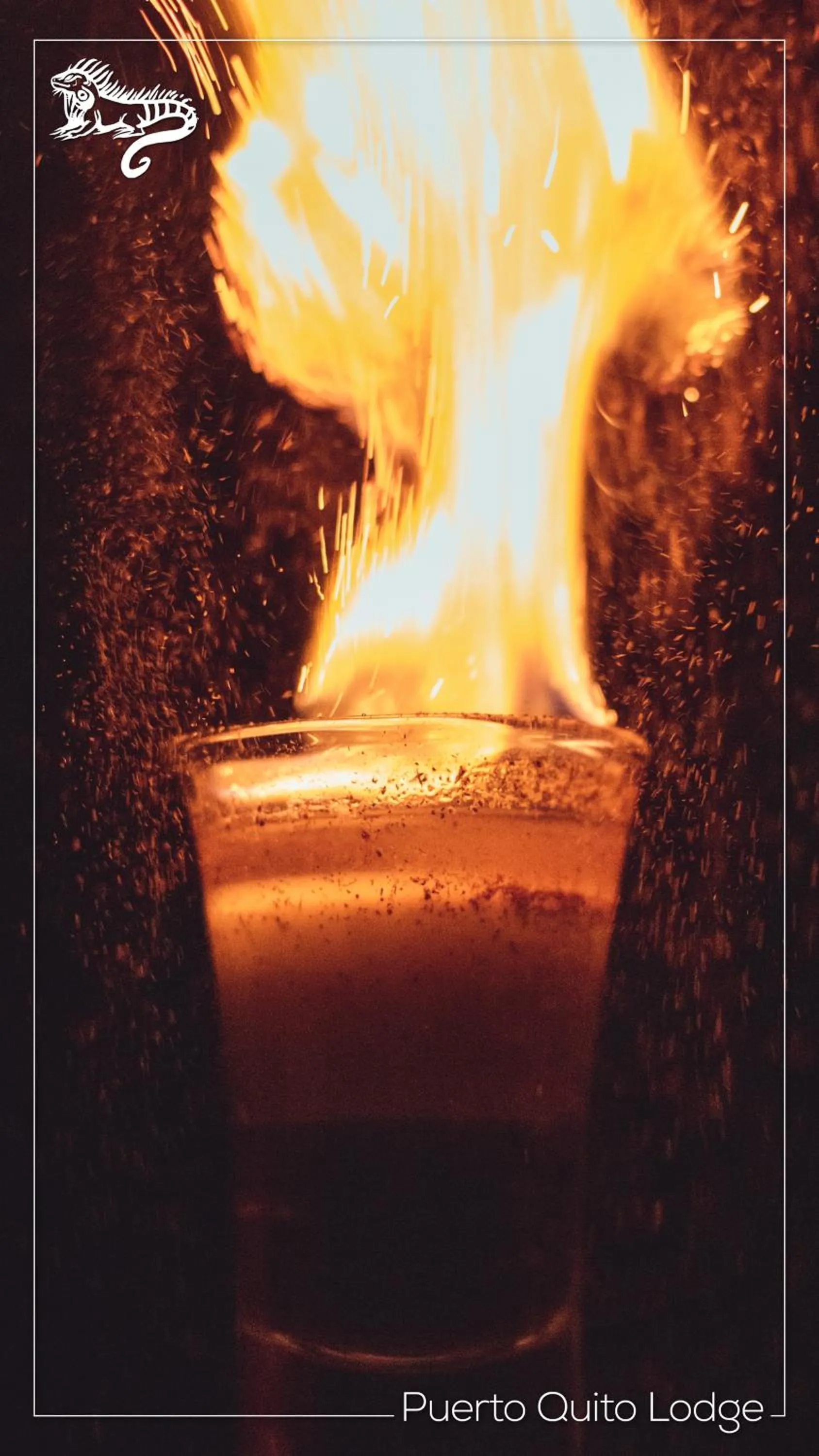 Alcoholic drinks in Puerto Quito Lodge