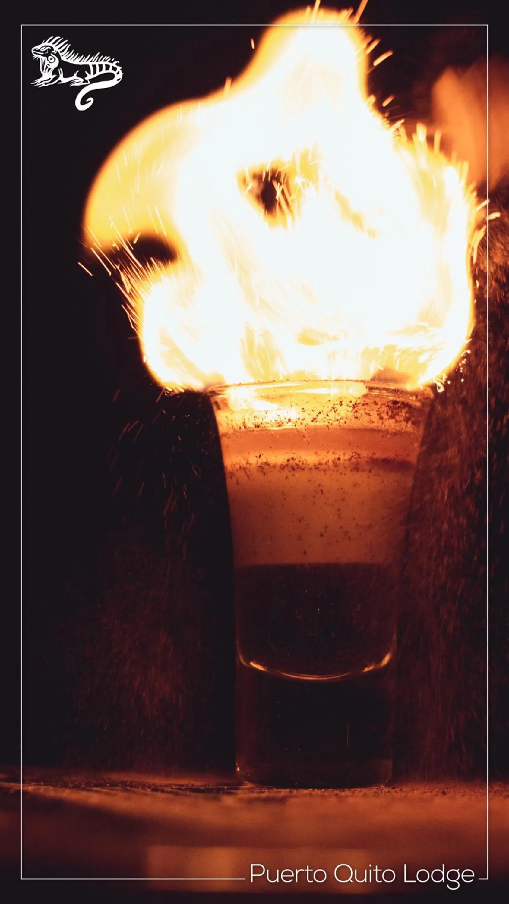 Food and drinks in Puerto Quito Lodge