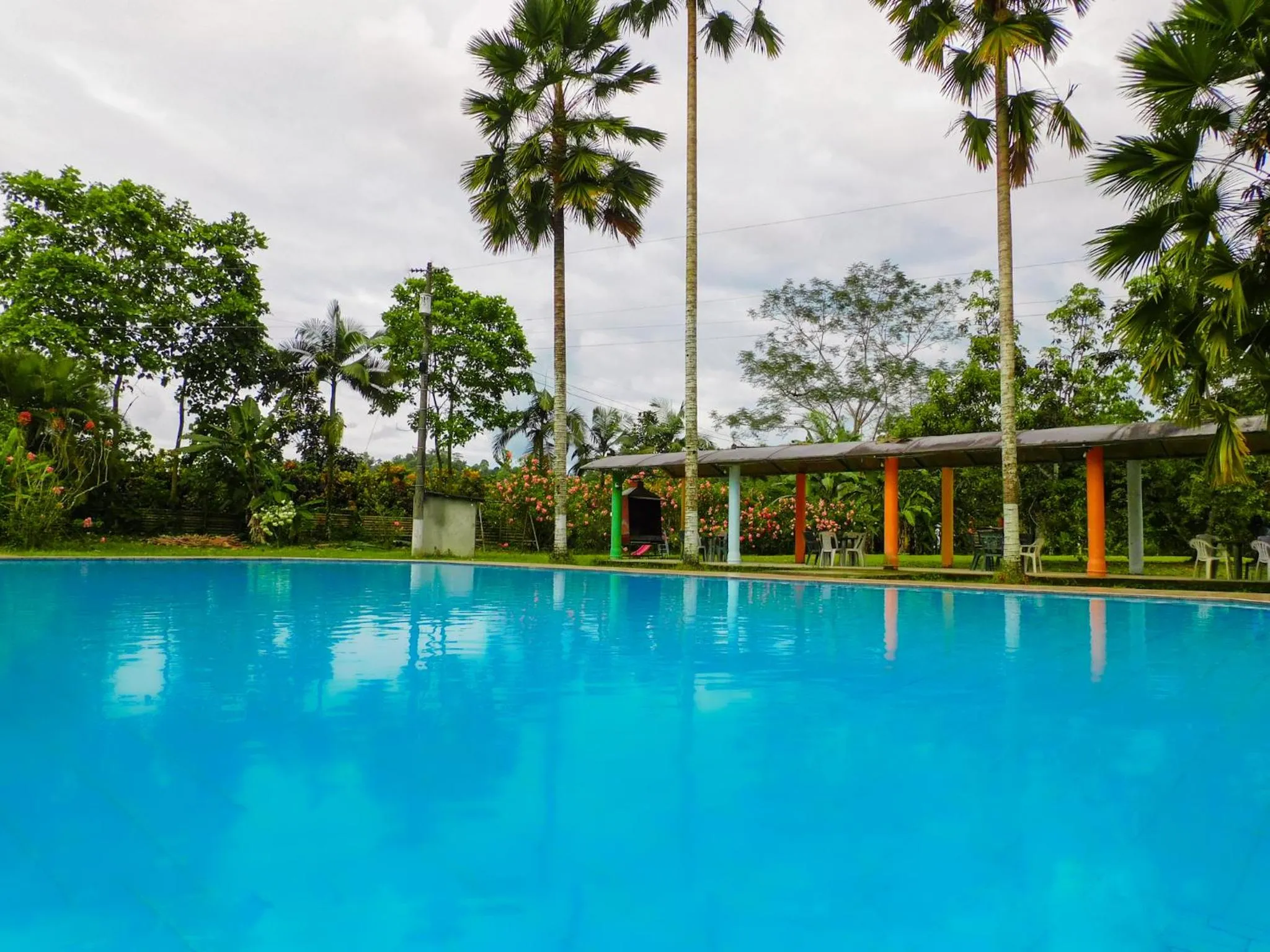 Day in Puerto Quito Lodge