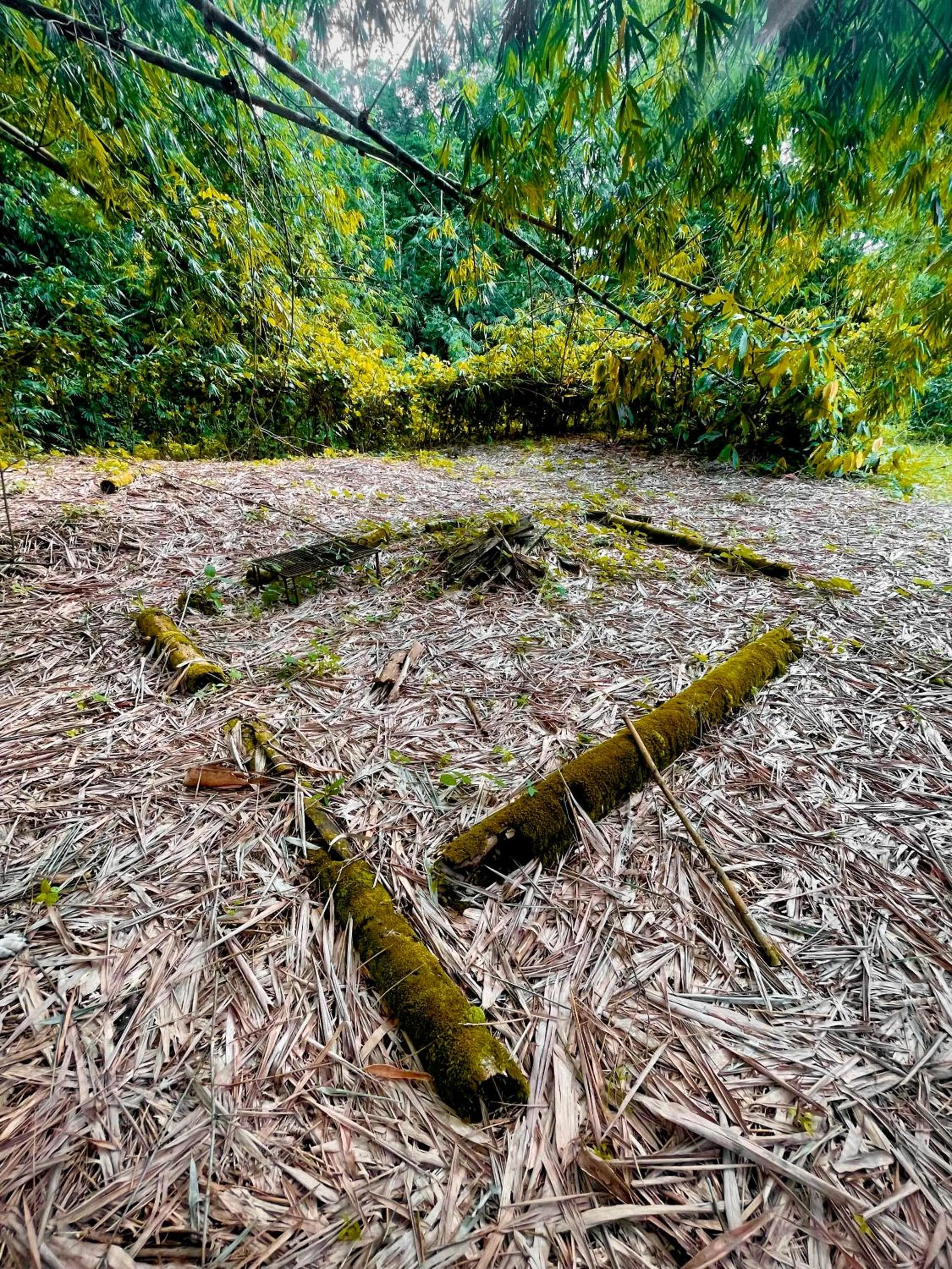 Spring in Puerto Quito Lodge - Las Iguanas