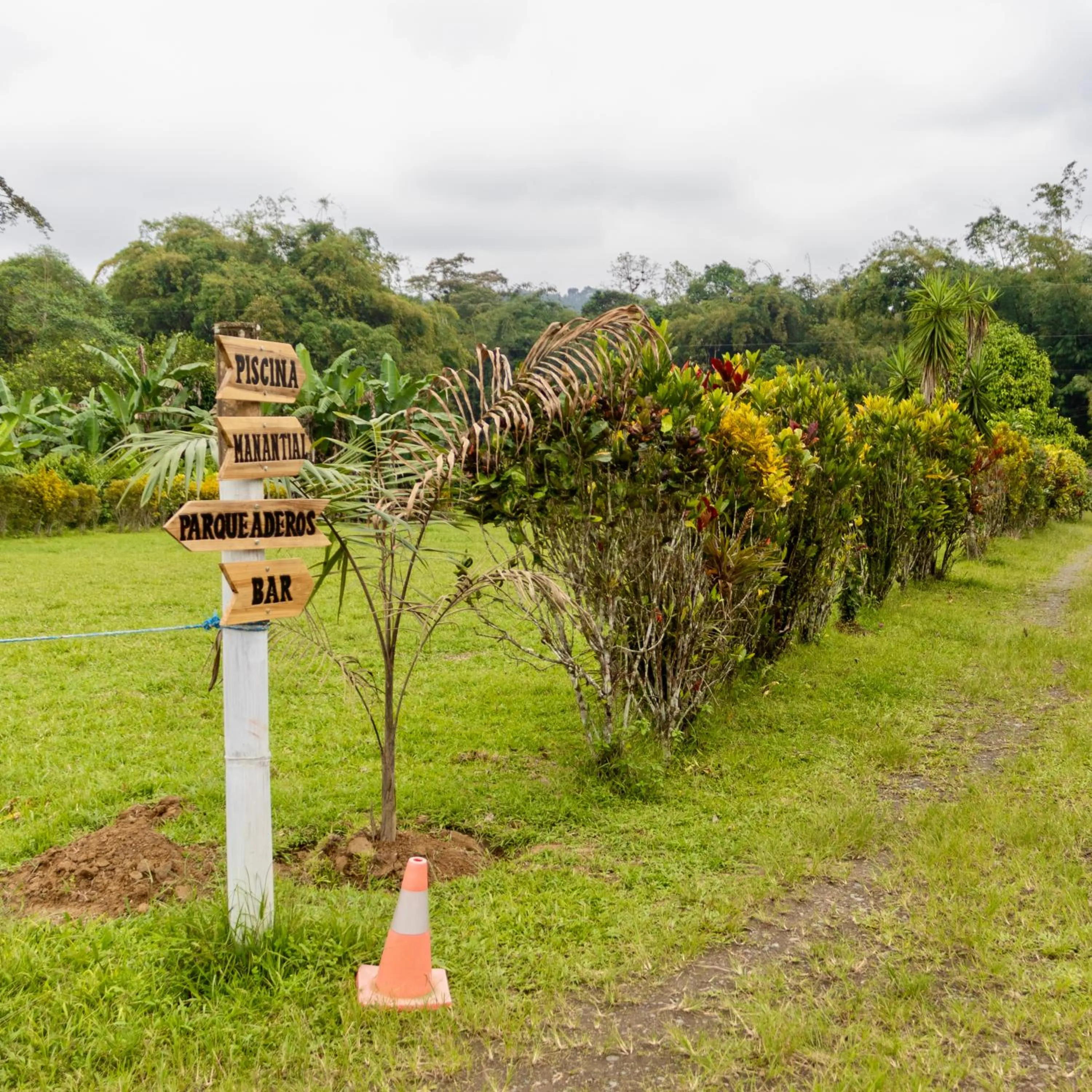 Day in Puerto Quito Lodge - Las Iguanas