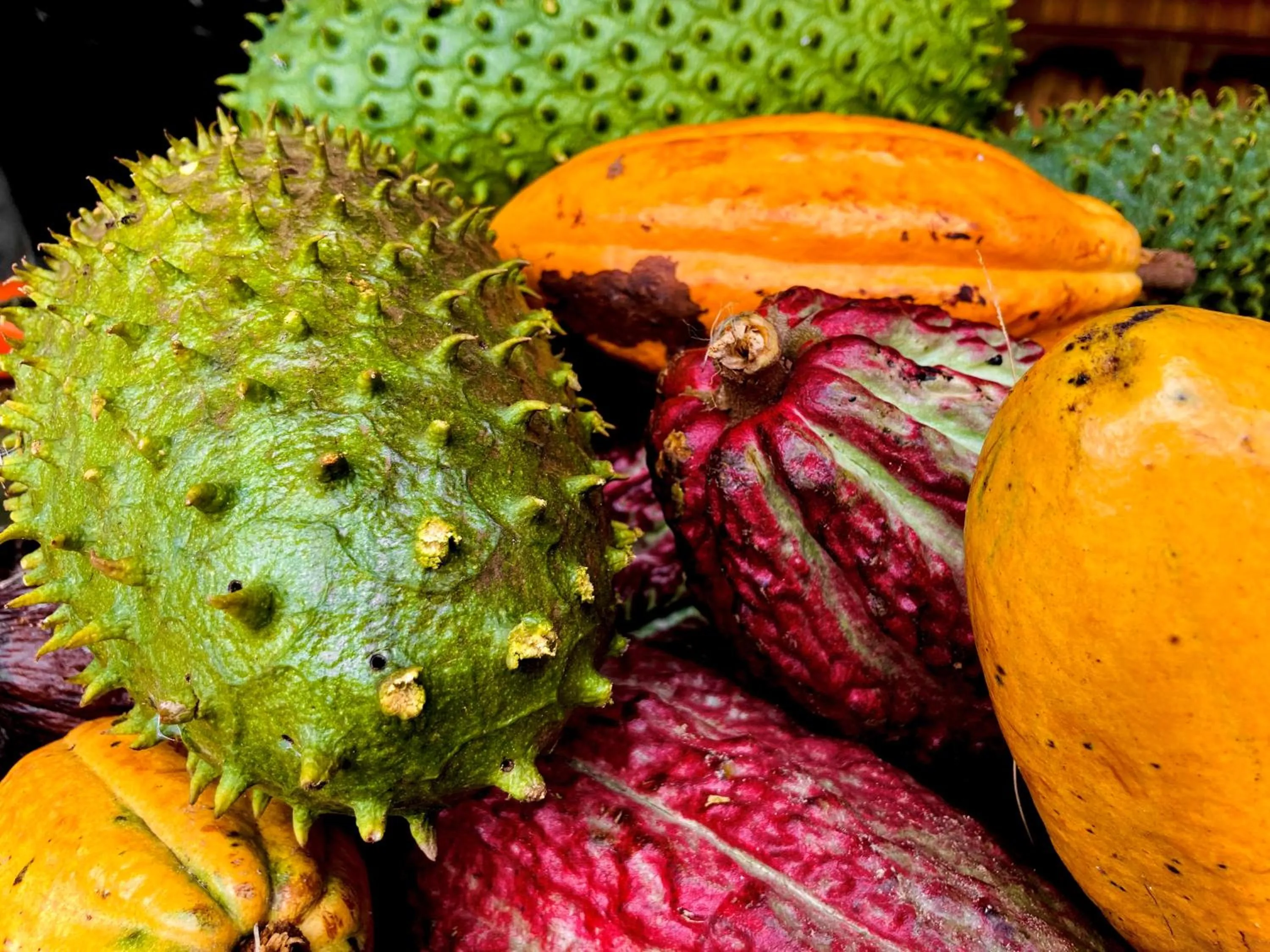 Food and drinks in Puerto Quito Lodge - Las Iguanas