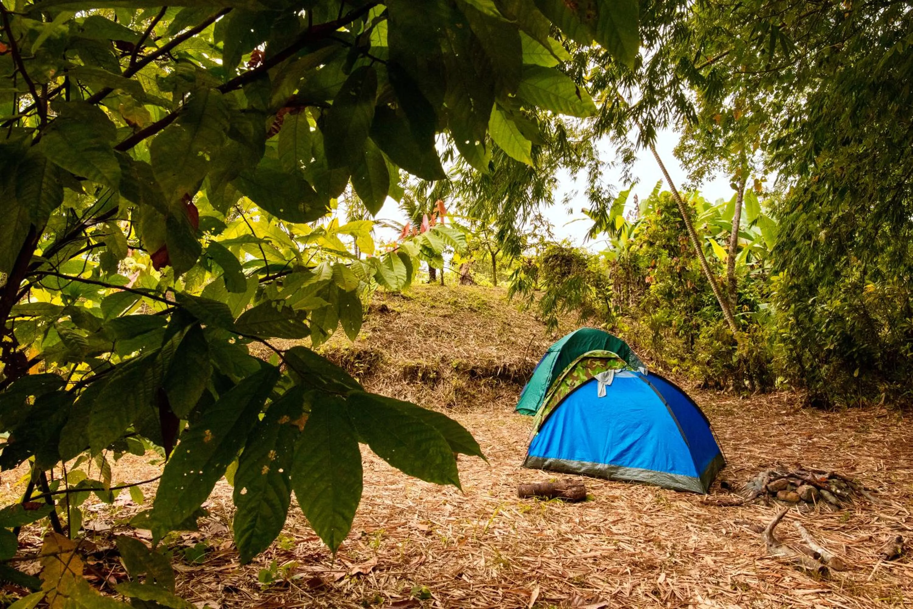 Spring in Puerto Quito Lodge - Las Iguanas