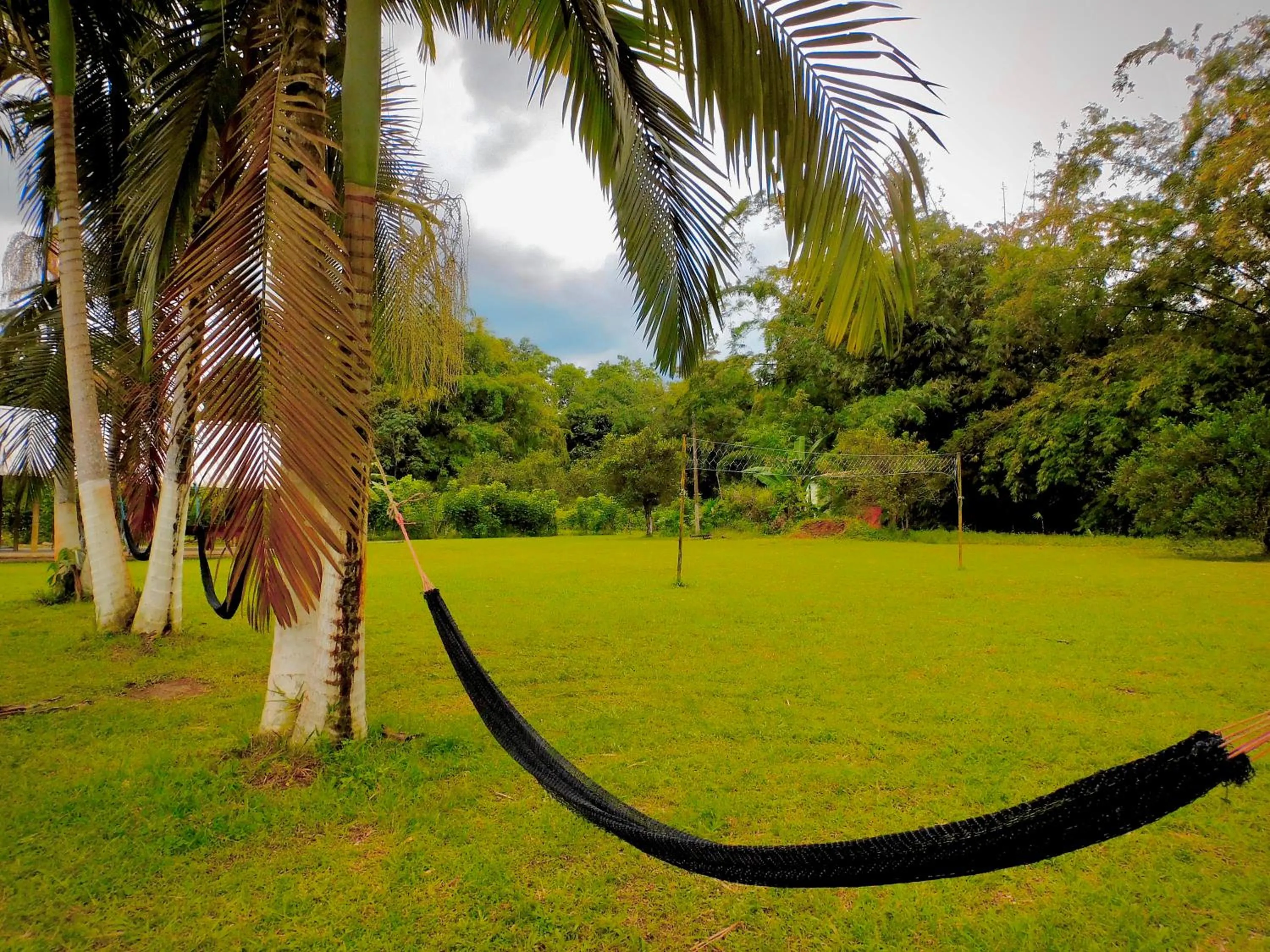Spring in Puerto Quito Lodge - Las Iguanas