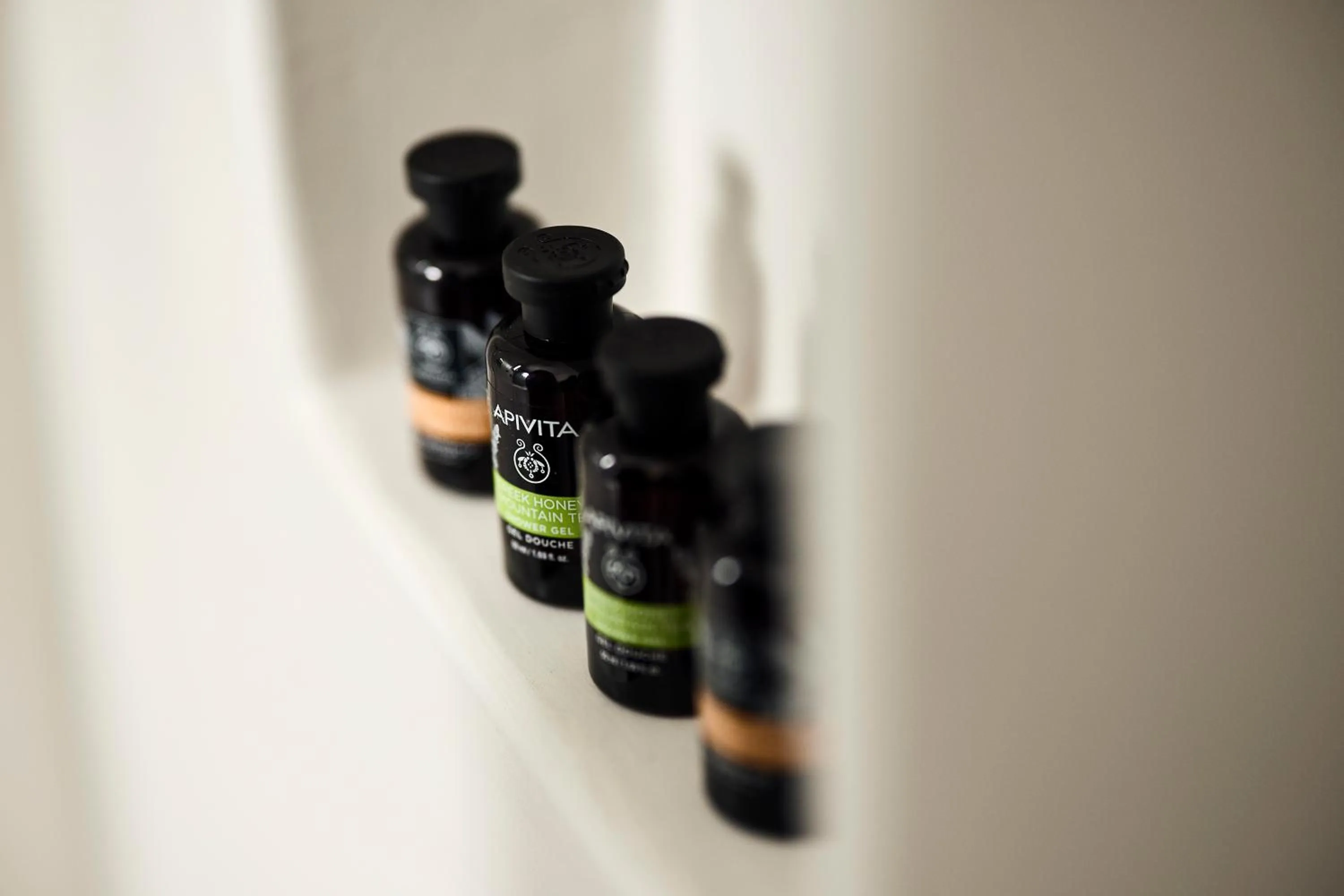 Area and facilities in Nival Boutique Hotel