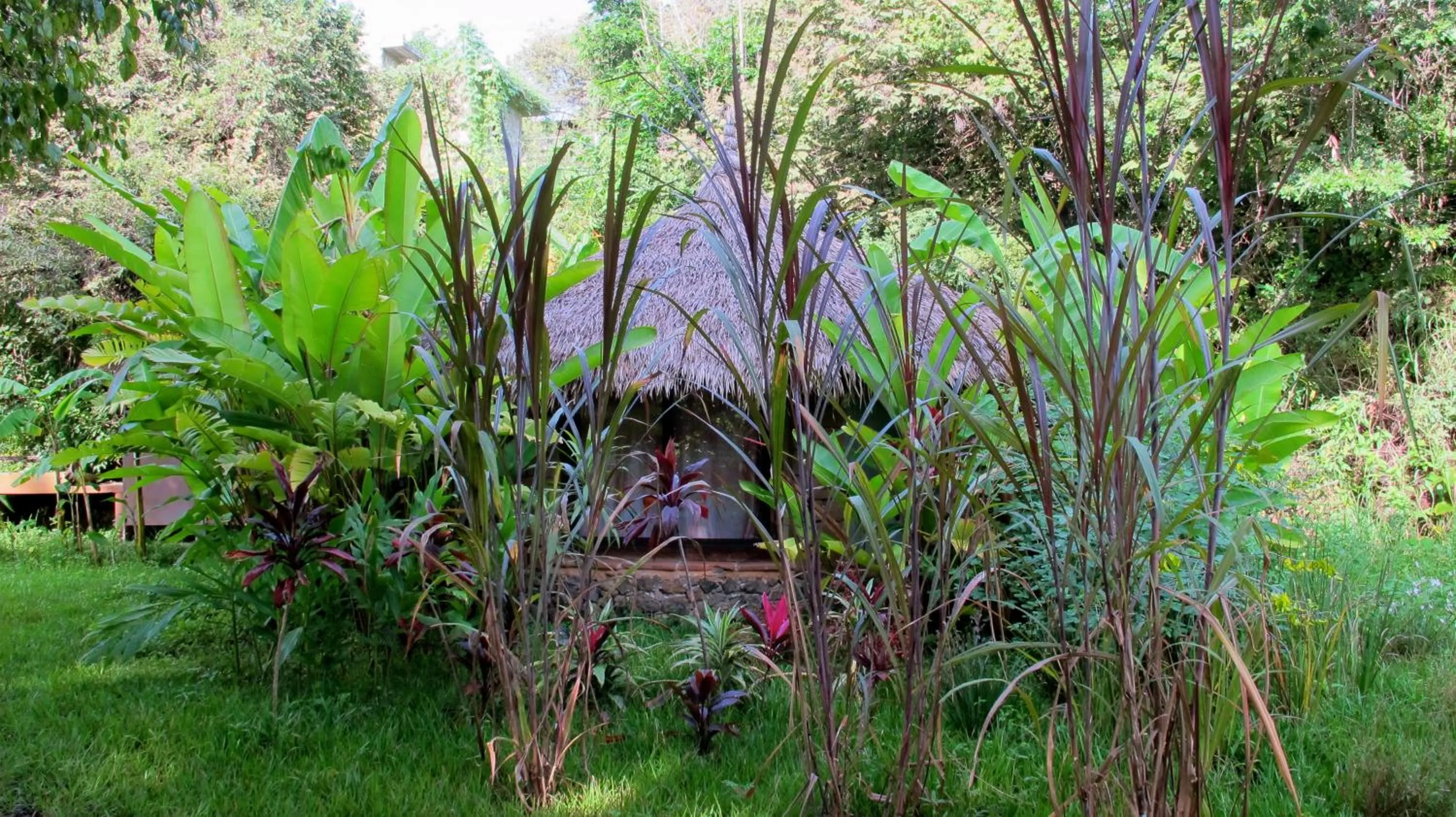 Standard Double Room in Yolitia Wellness