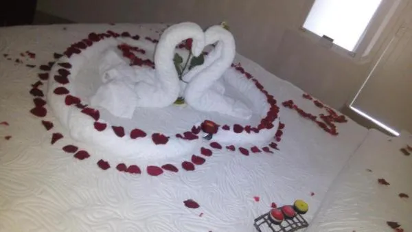 Bed in Desarrollo Turistico