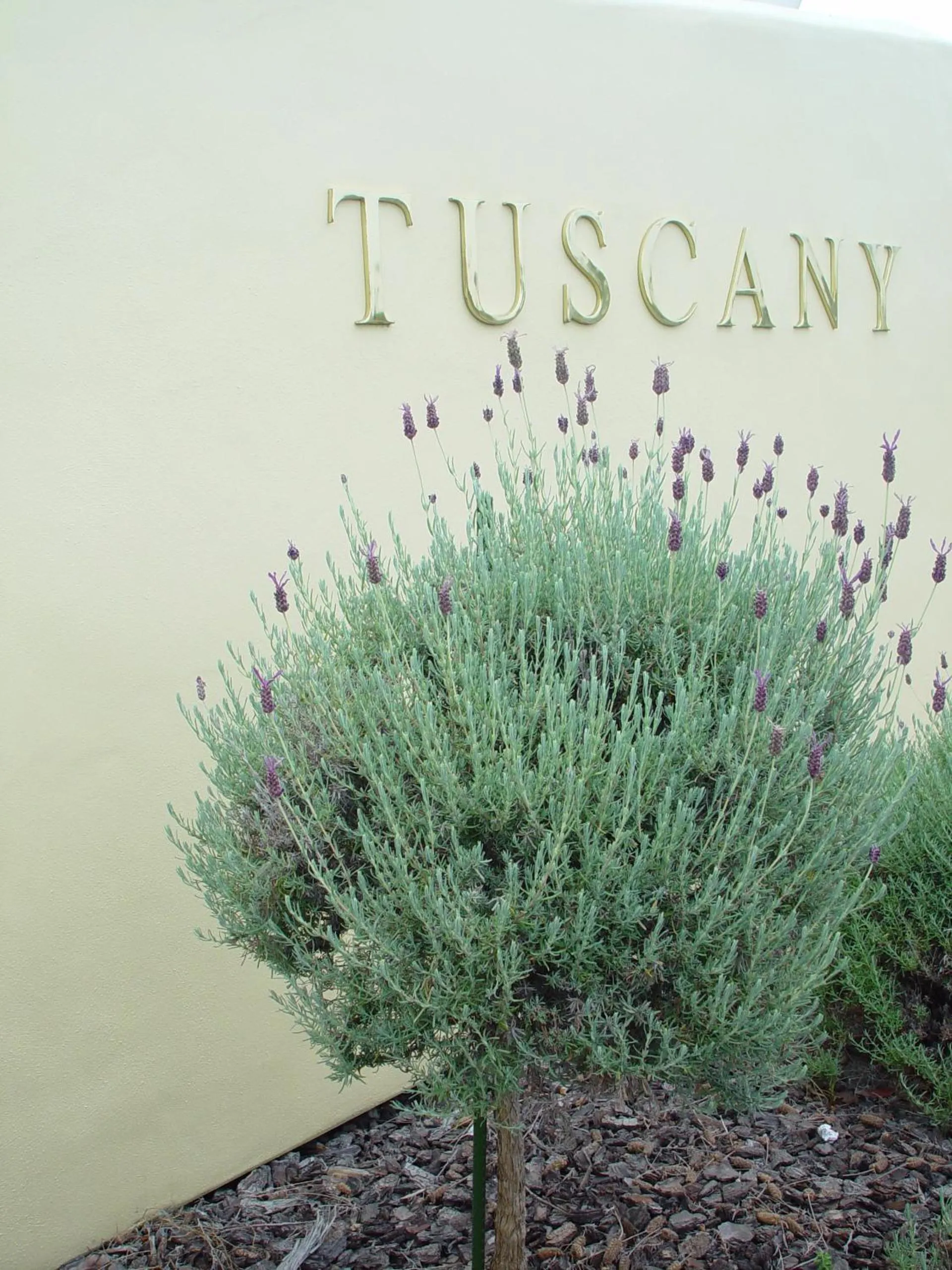 Facade/entrance in Bella Tuscany Motor Lodge