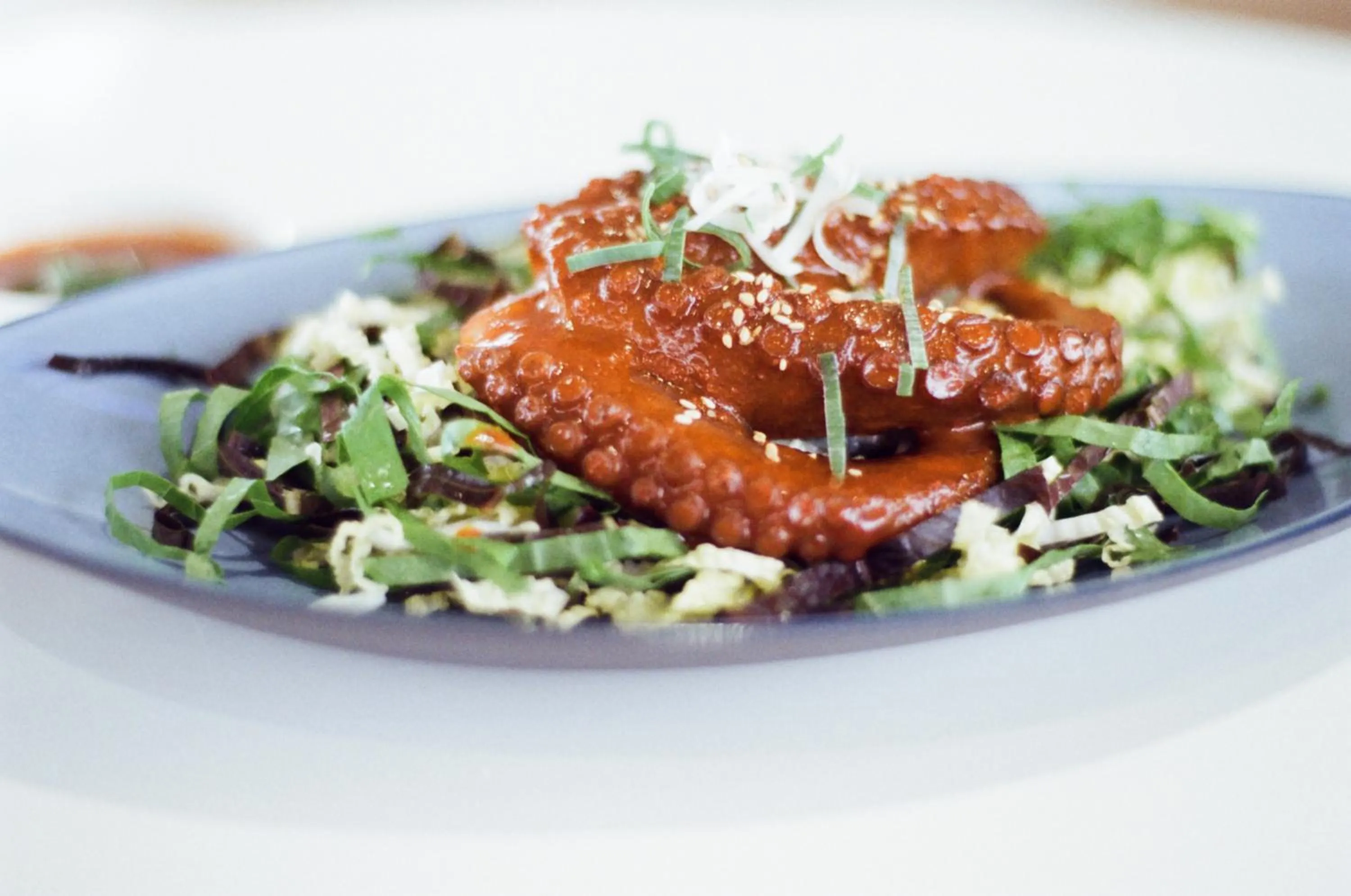 Food and drinks in Velum Resort