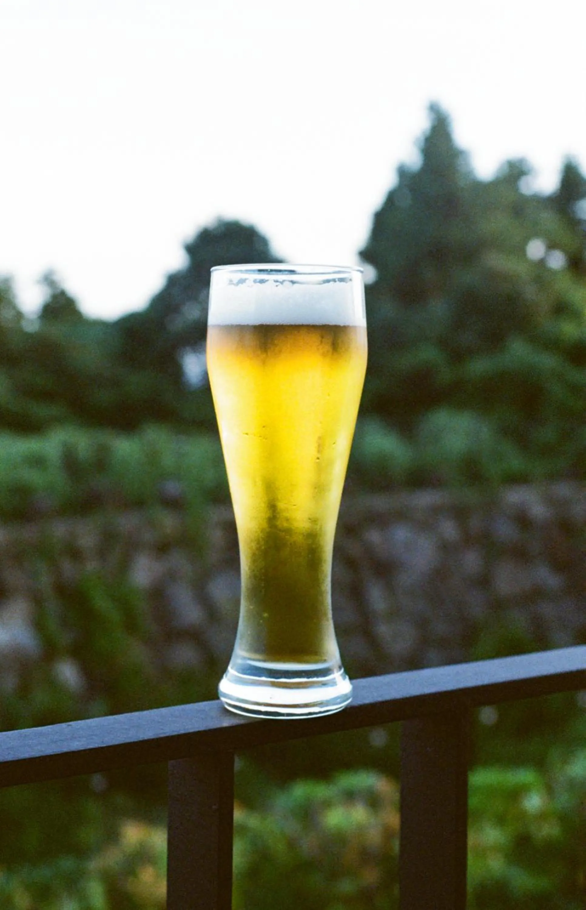 Food and drinks in Velum Resort