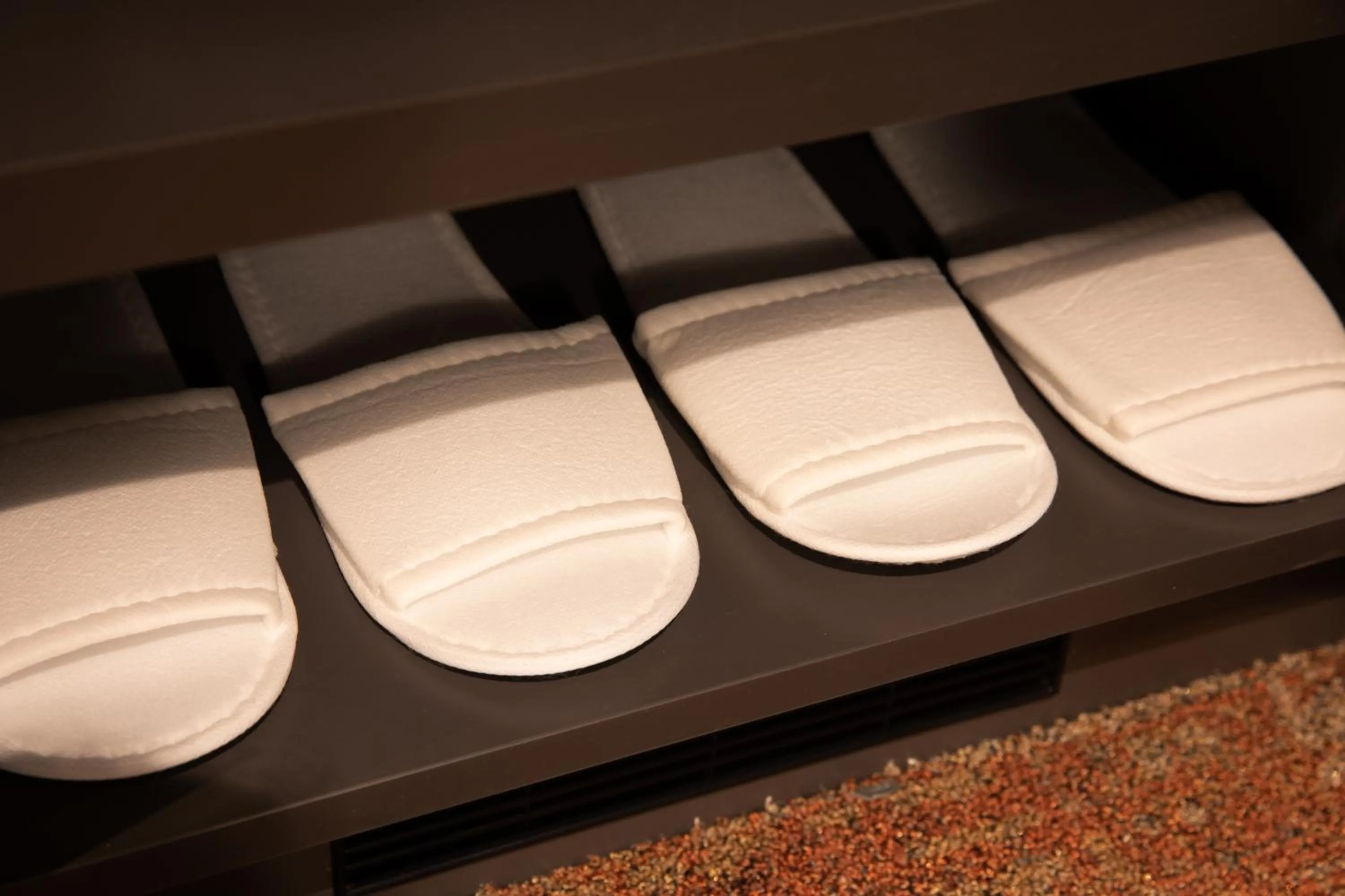 Photo of the whole room in LOF HOTEL Shimbashi