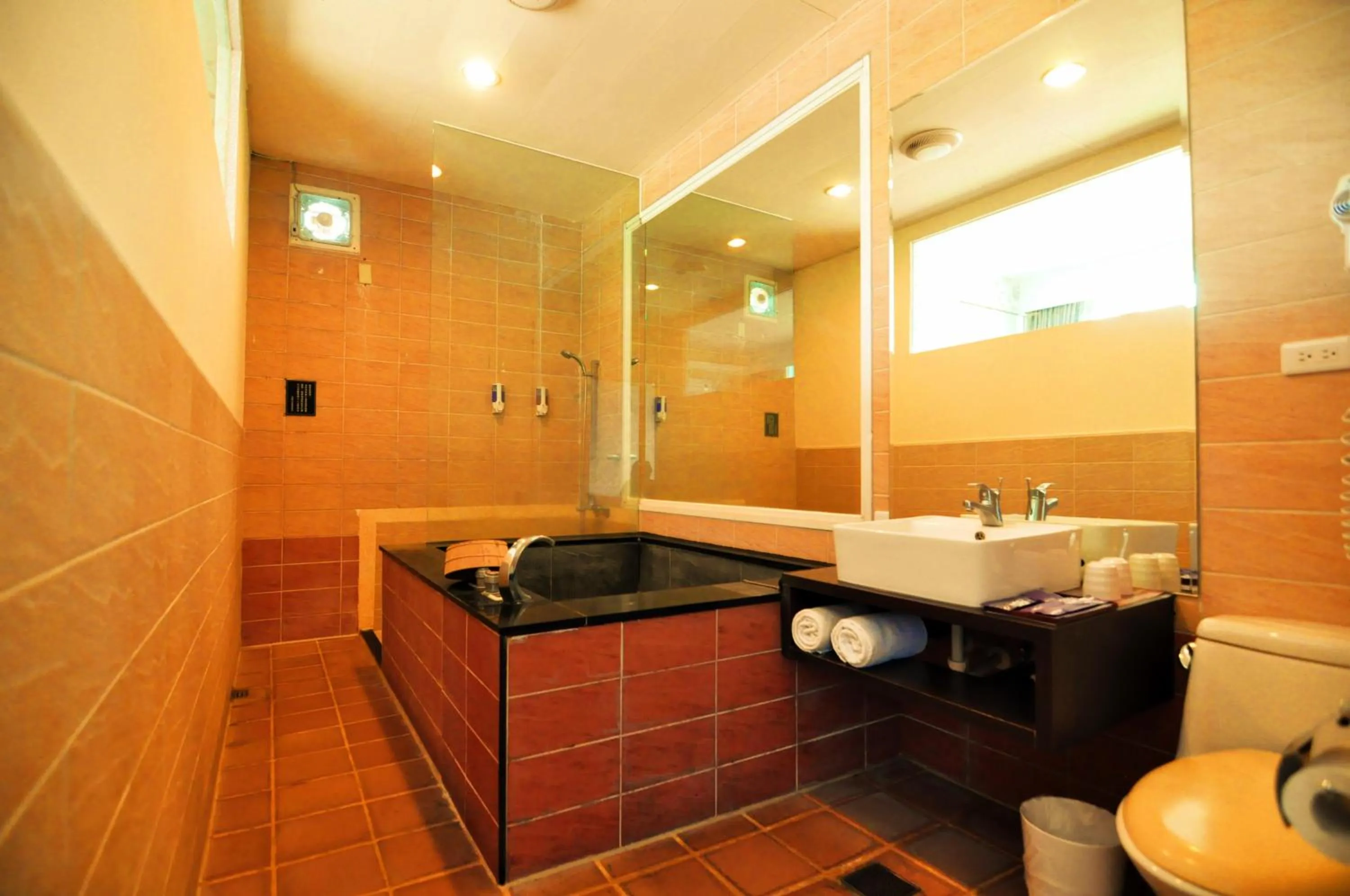 Bathroom in Courier Station