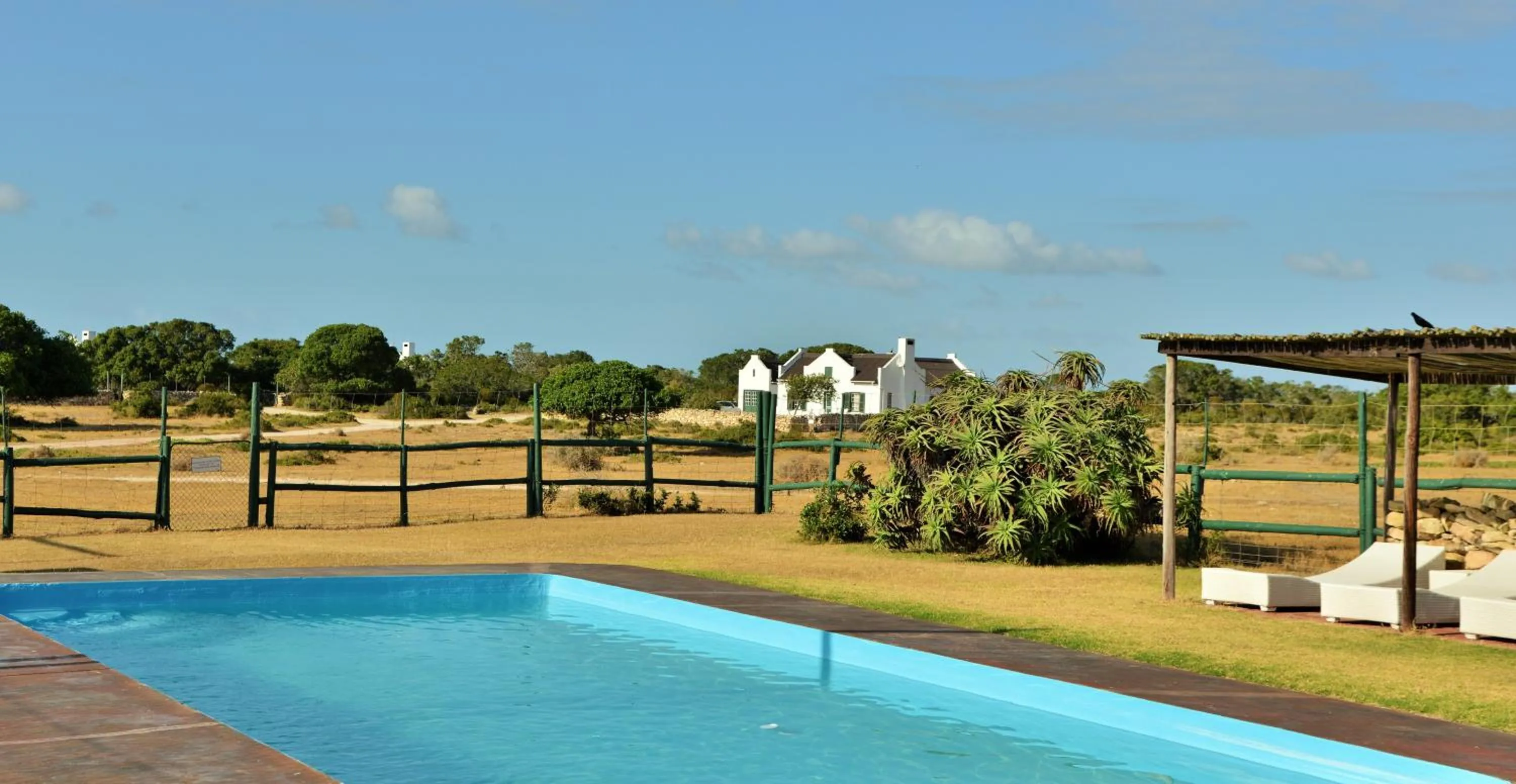 Swimming pool in De Hoop Collection - Campsite Rondawels