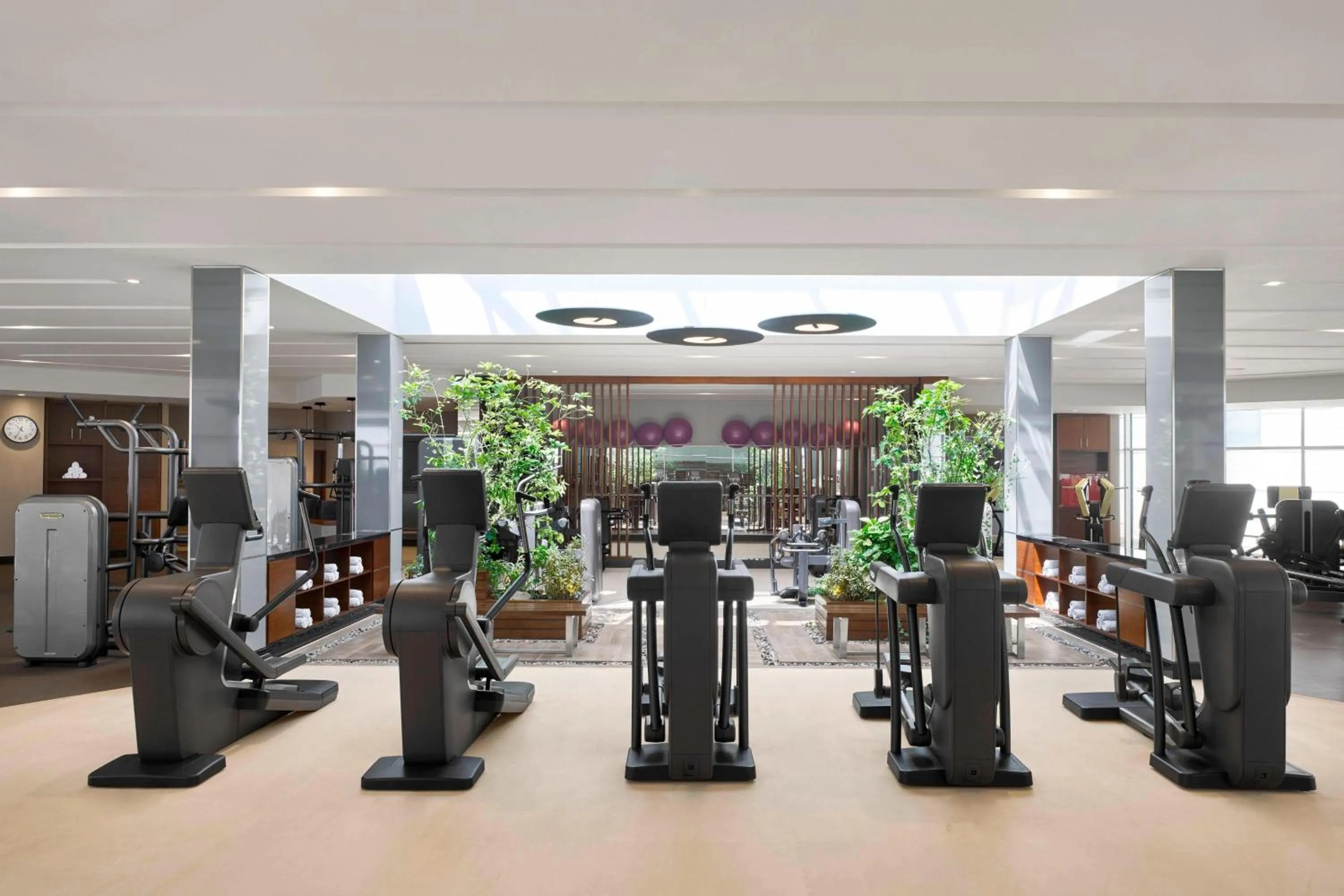 Fitness centre/facilities in Sheraton Amman Al Nabil Hotel