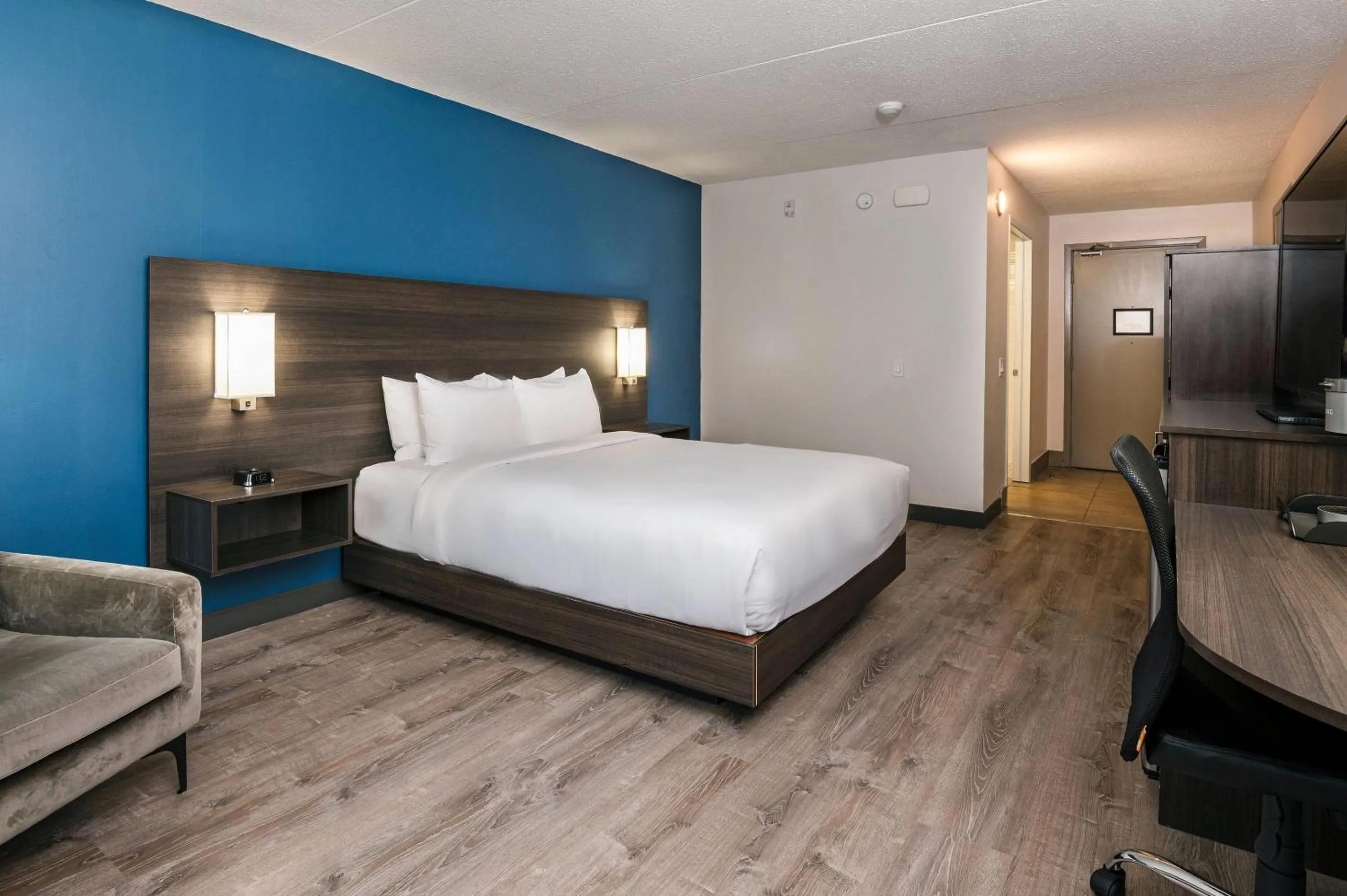Bedroom, Bed in Comfort Suites Kingston Central