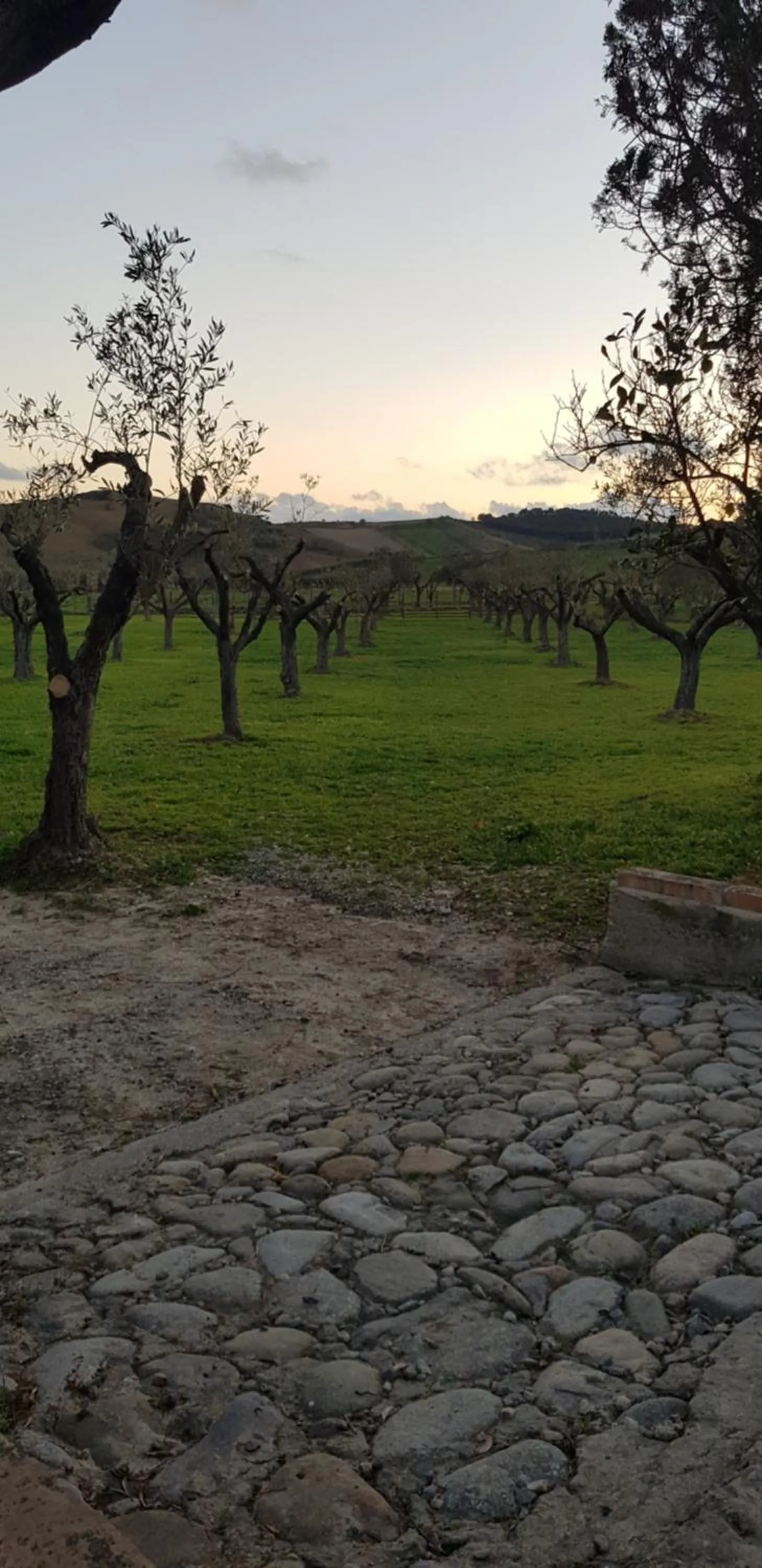 Agriturismo La Mandragola Relais