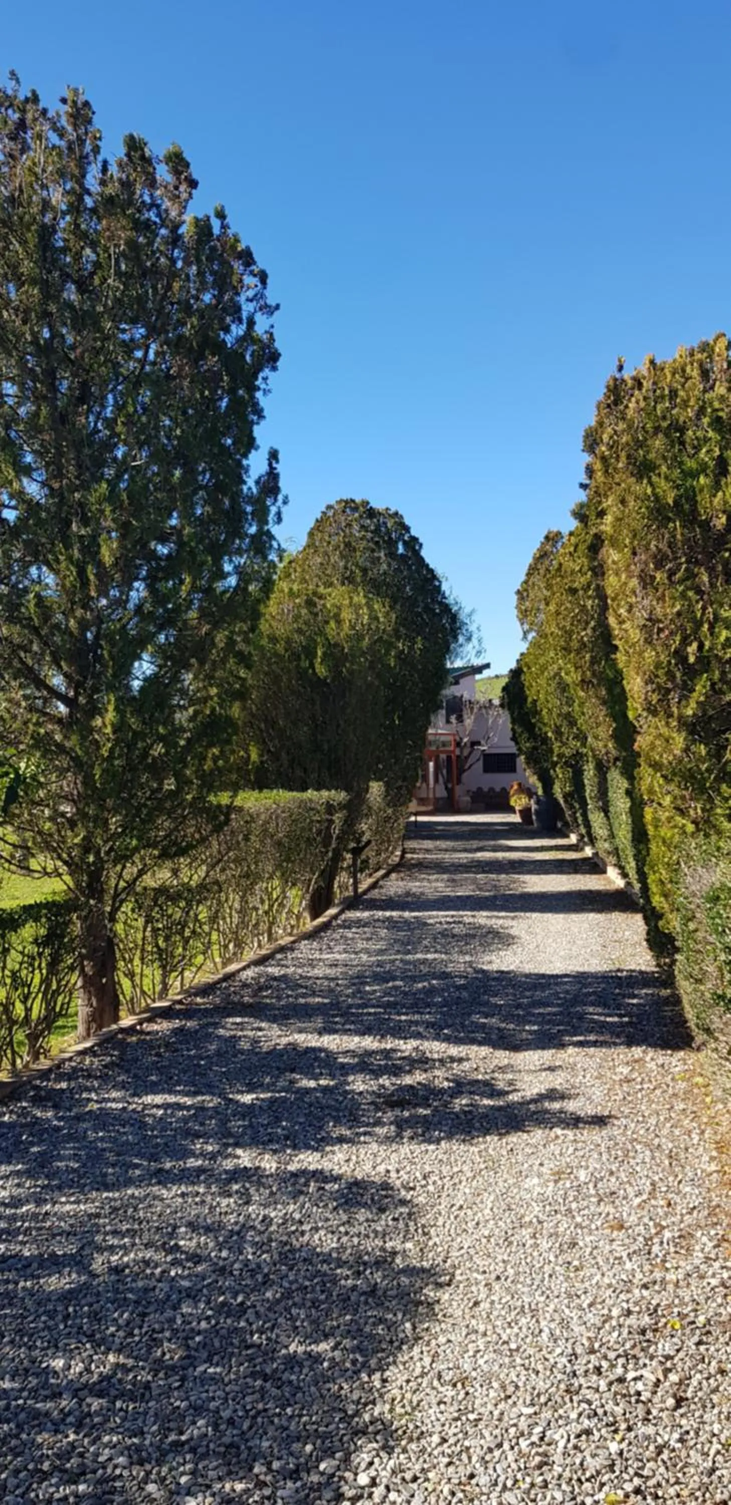 Agriturismo La Mandragola Relais