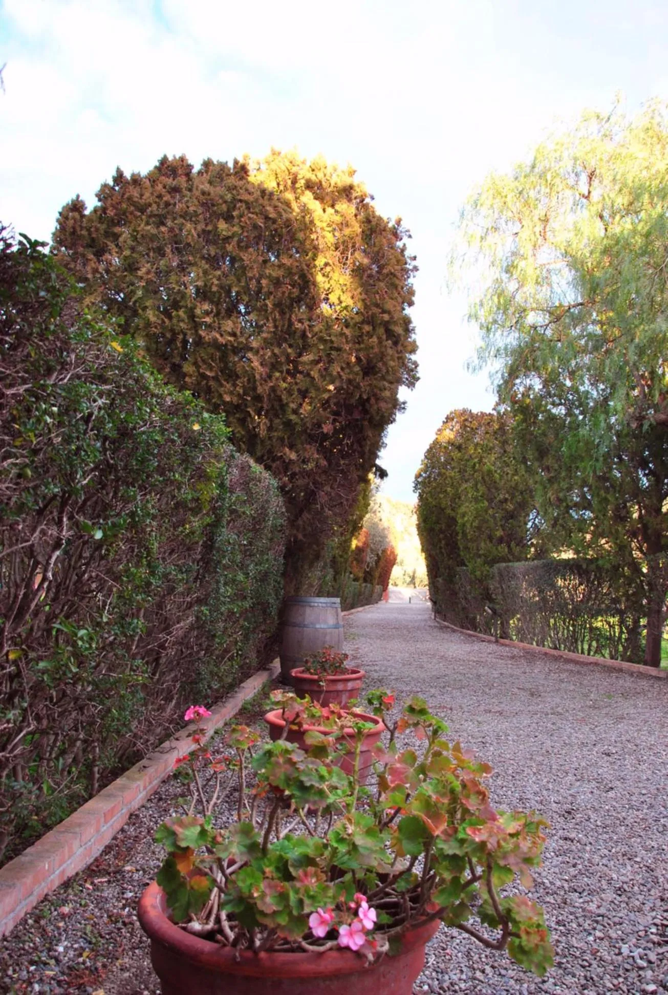 Agriturismo La Mandragola Relais