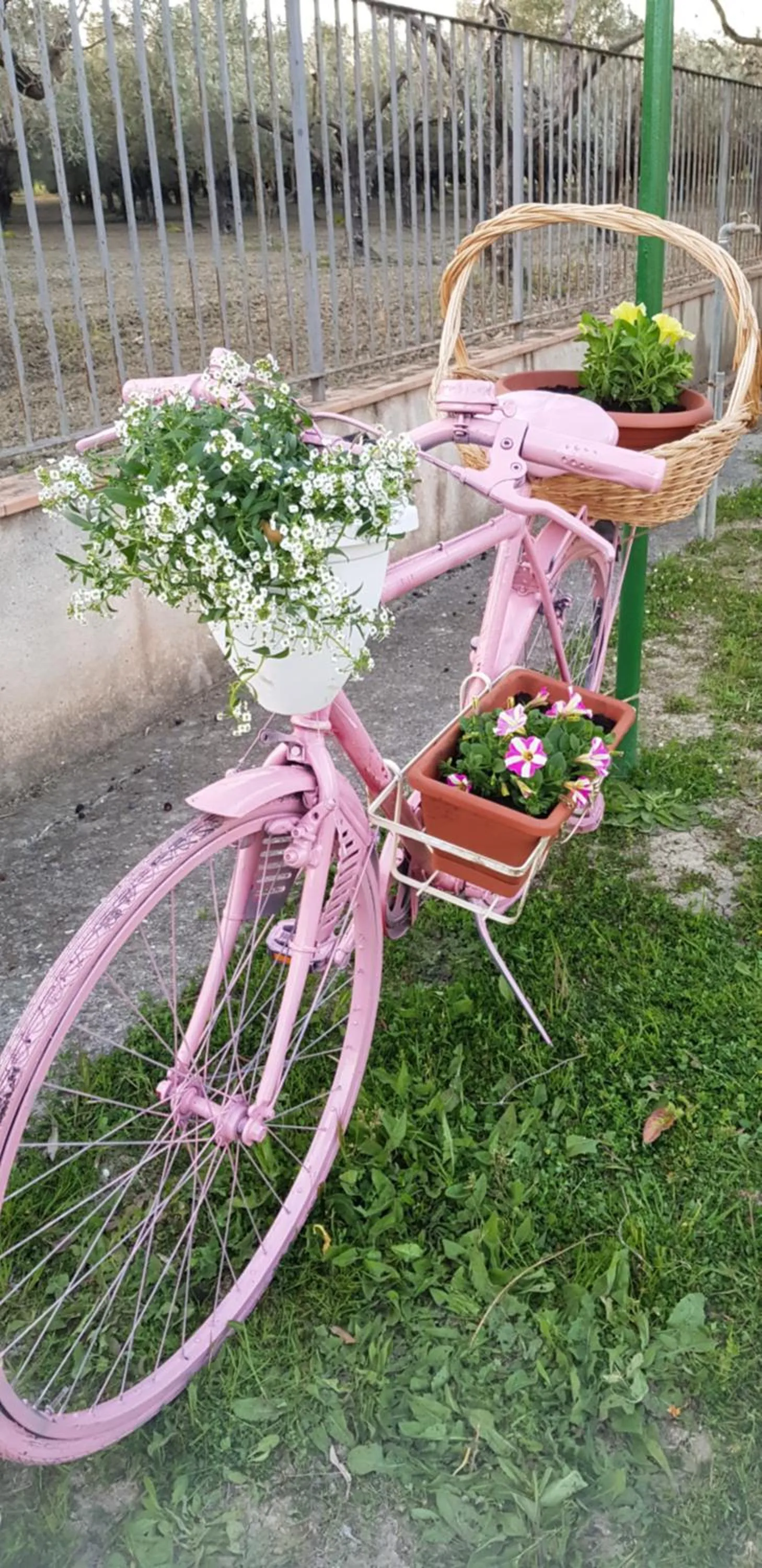 Agriturismo La Mandragola Relais