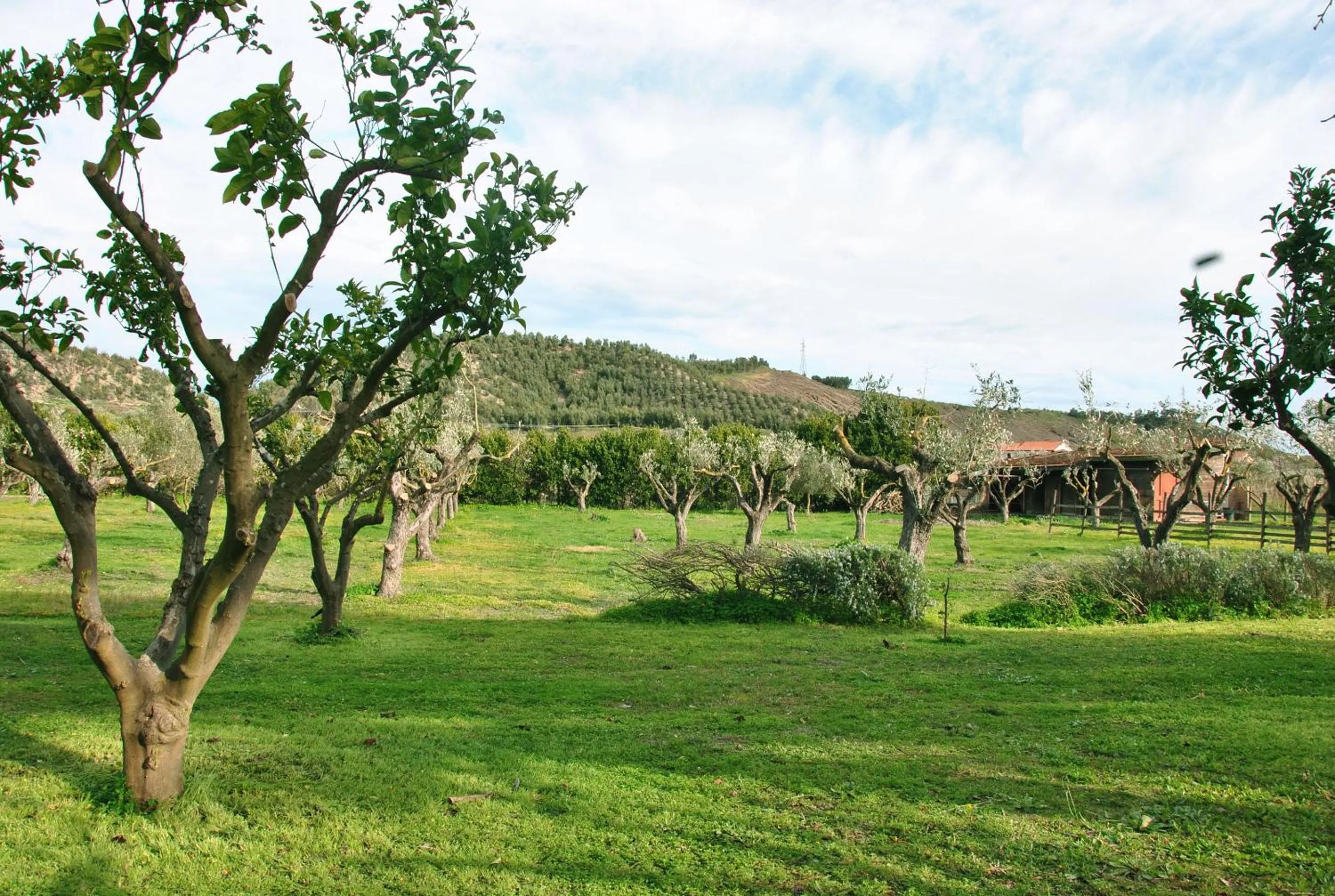 Agriturismo La Mandragola Relais