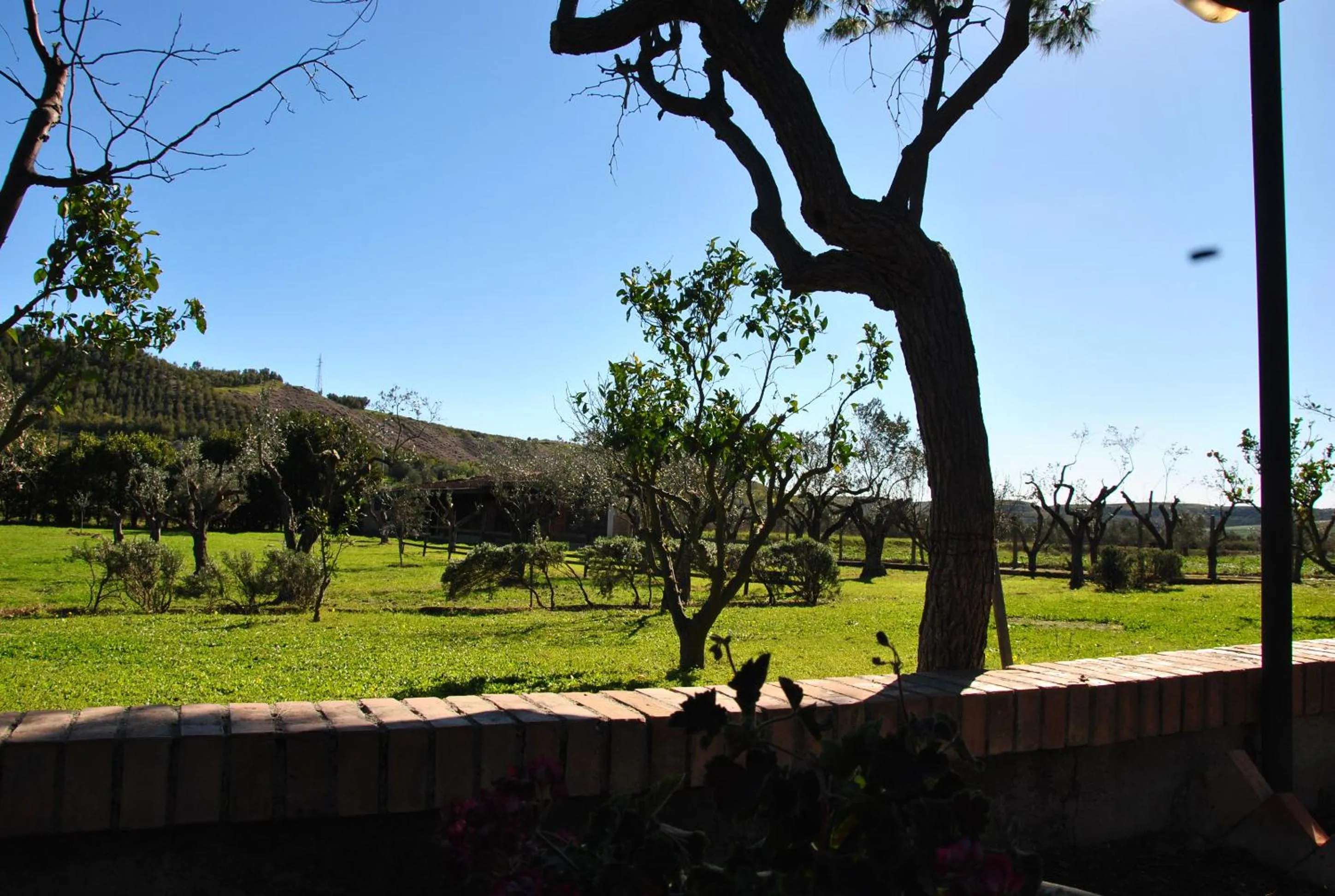 Agriturismo La Mandragola Relais