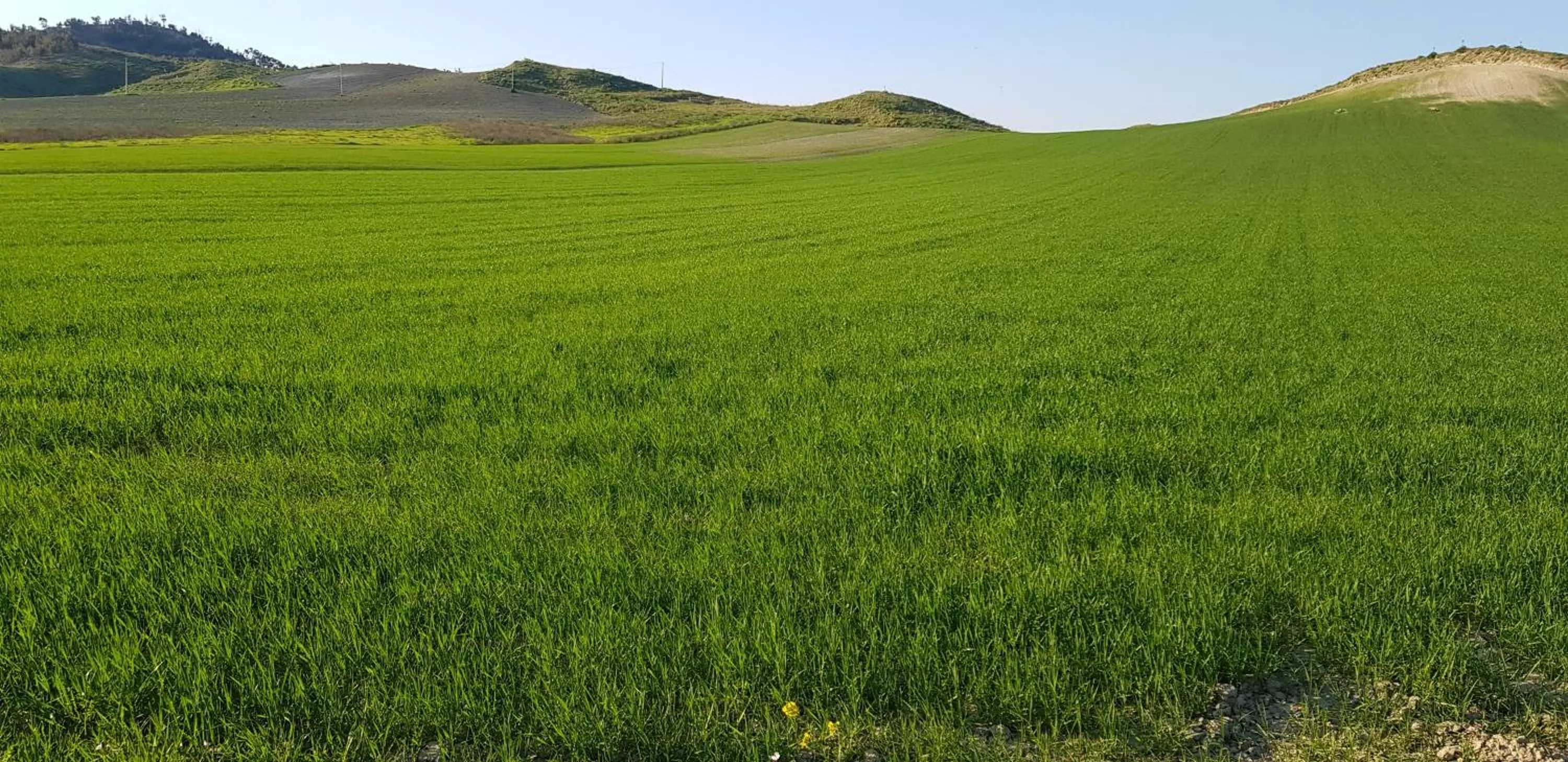 Agriturismo La Mandragola Relais