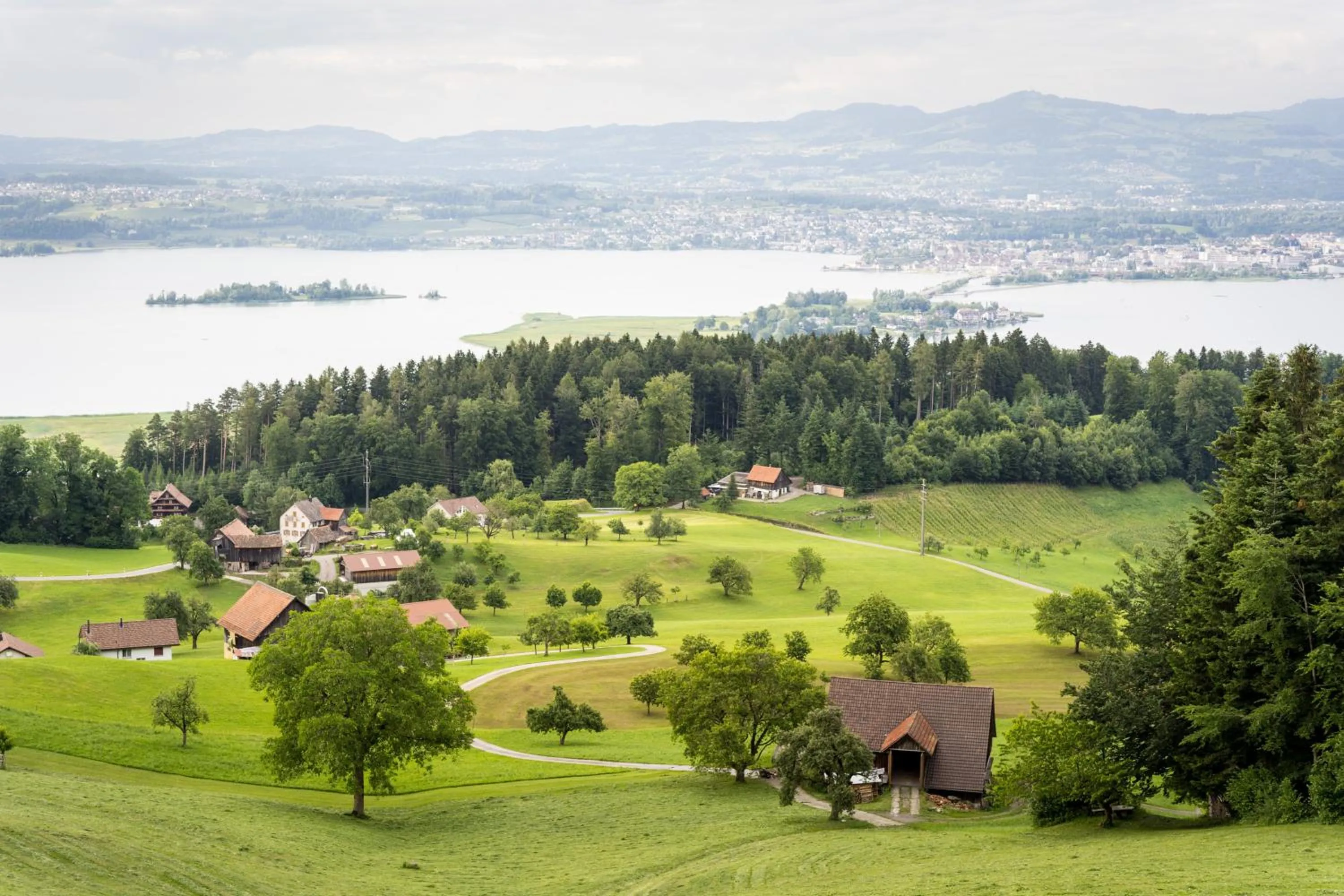 Natural landscape in Seedamm Plaza