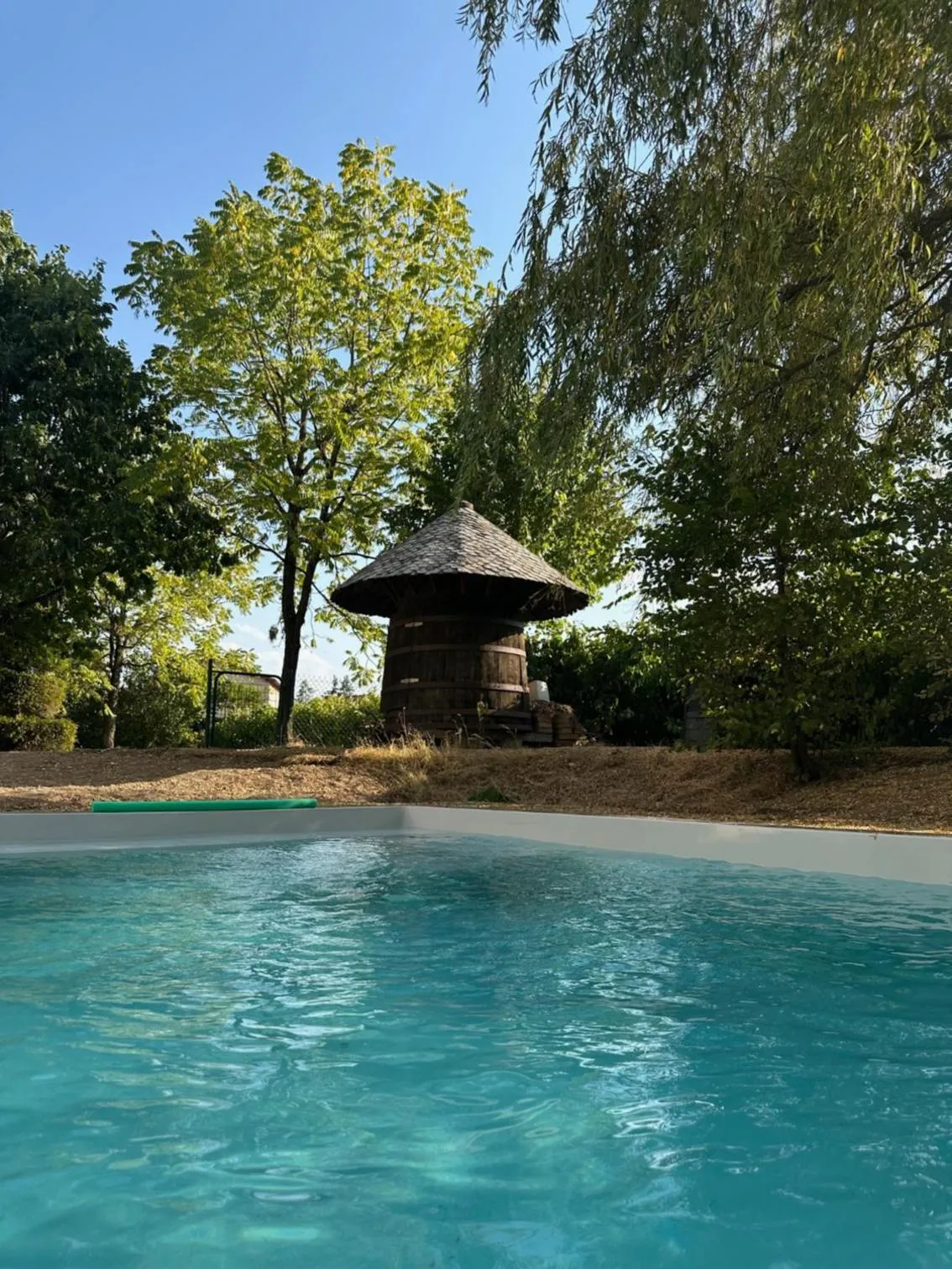 Swimming pool in Logis Hôtel LE DAHU