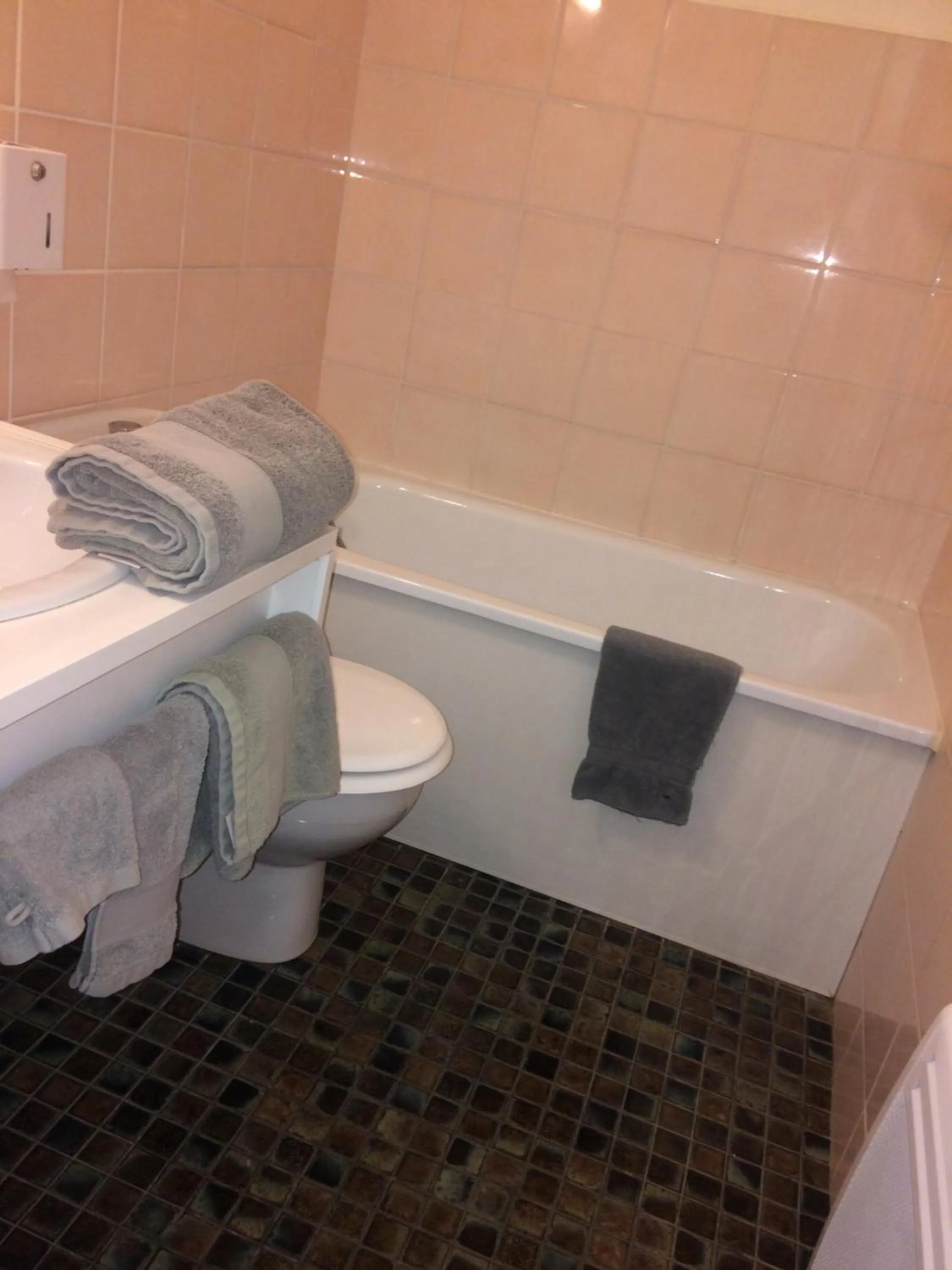 Toilet in Logis Hôtel LE DAHU