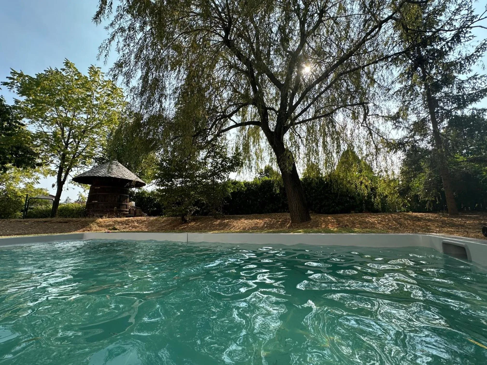 Natural landscape in Logis Hôtel LE DAHU