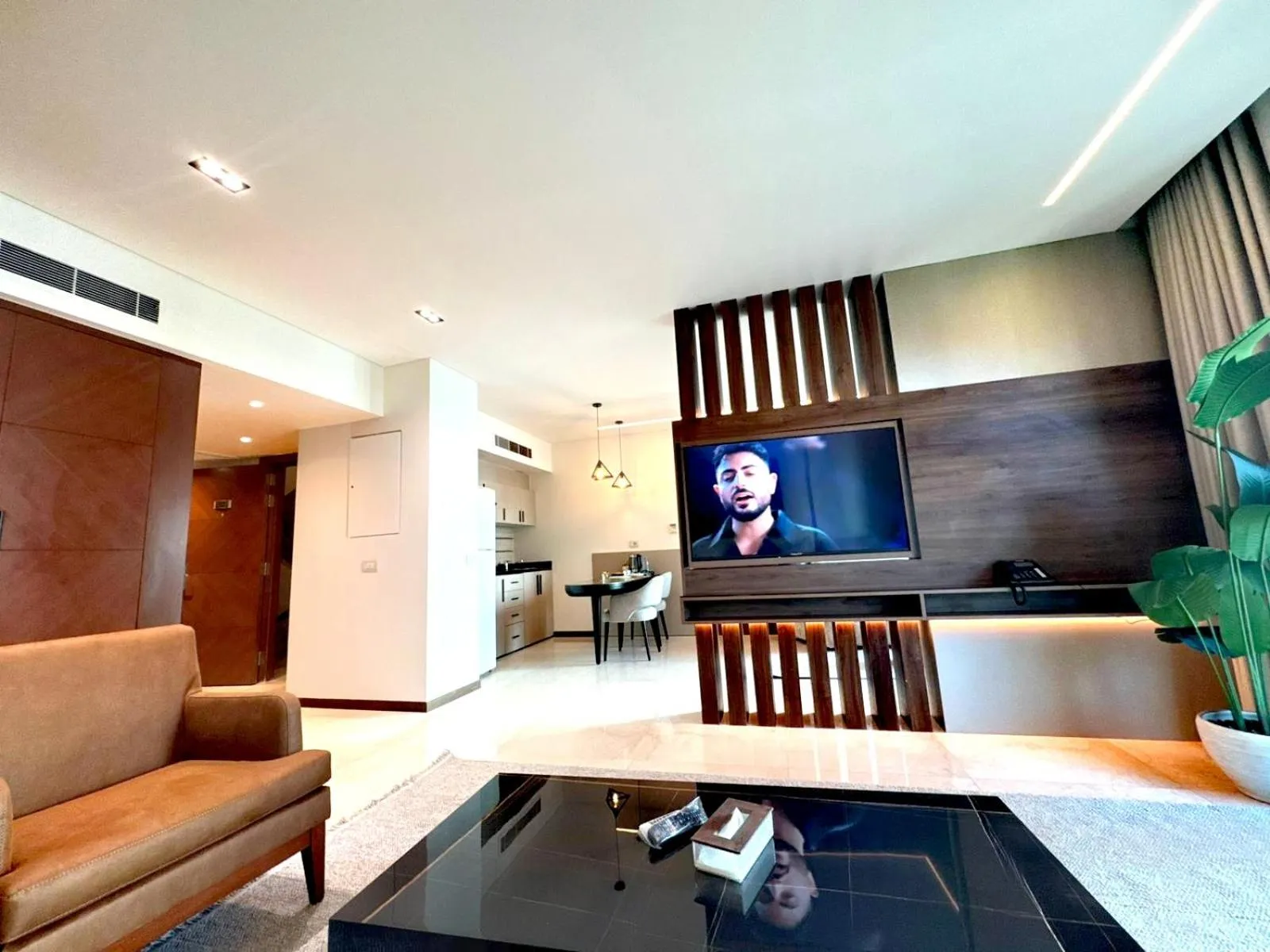 TV and multimedia in King Suites Hotel