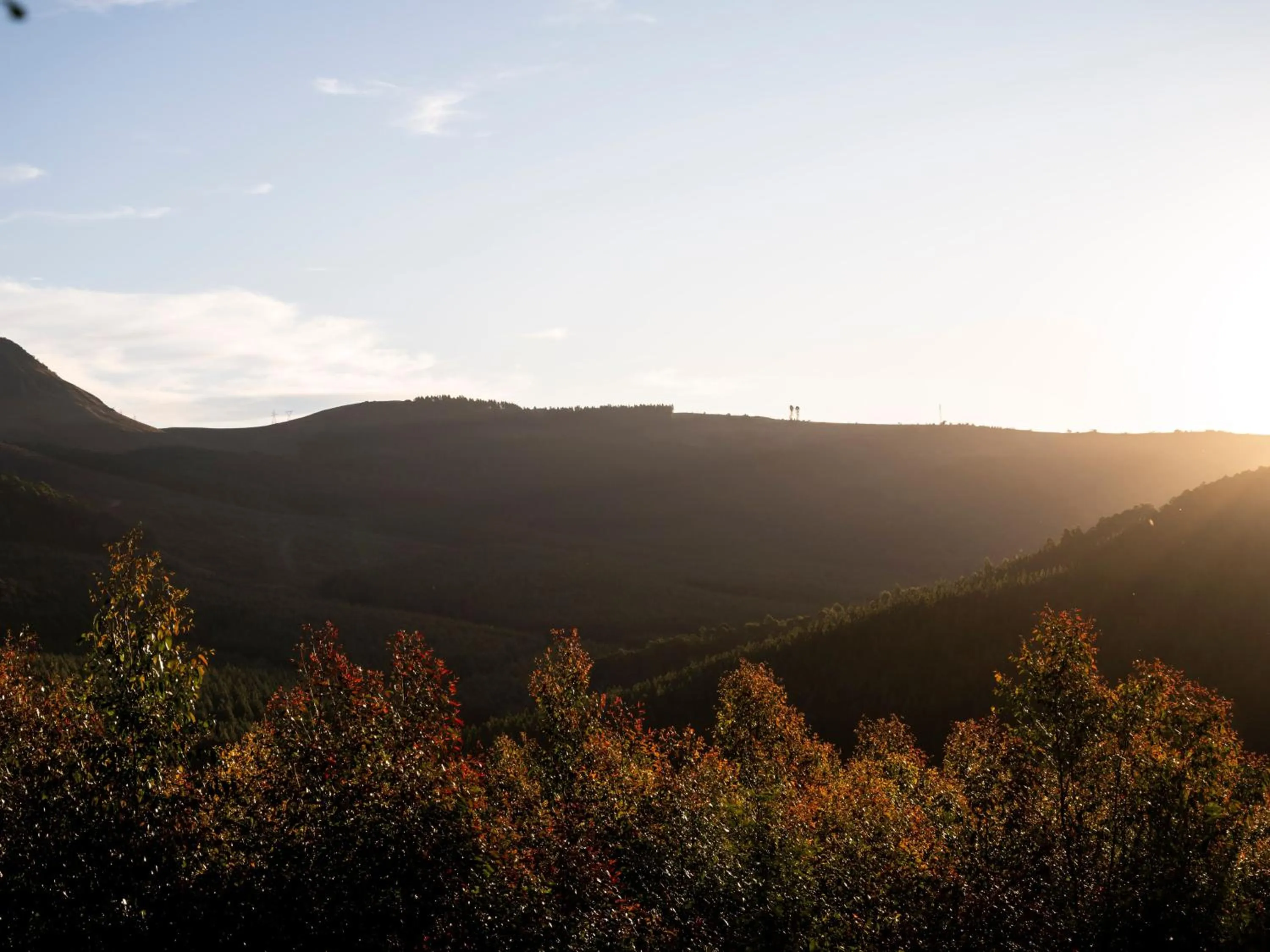 Mountain view in ANEW Resort Ingeli Forest Kokstad
