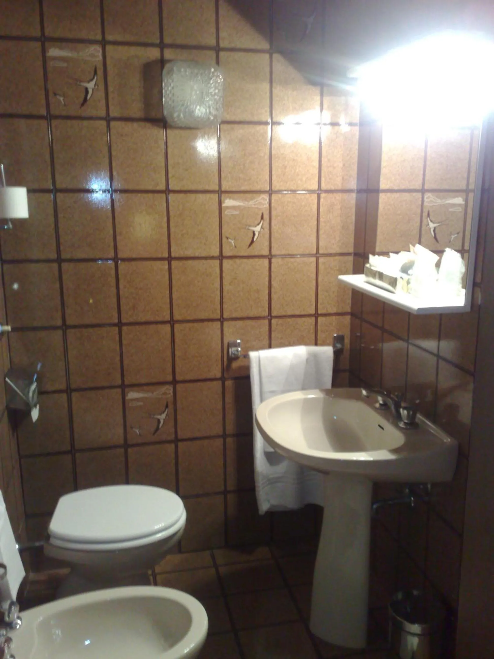 Toilet in Locanda Stella D'oro