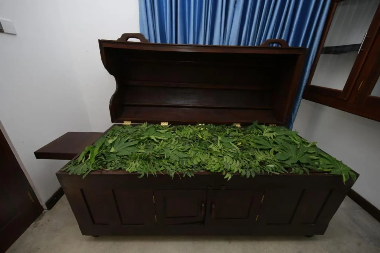 Spa and wellness centre/facilities in Olu Ayurveda Beach Resort