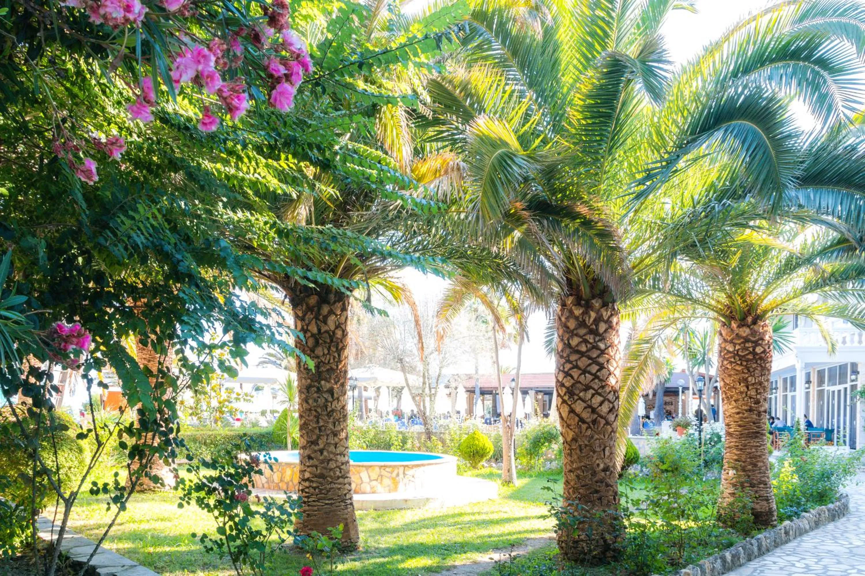 Garden in Angela Beach Hotel & Apts