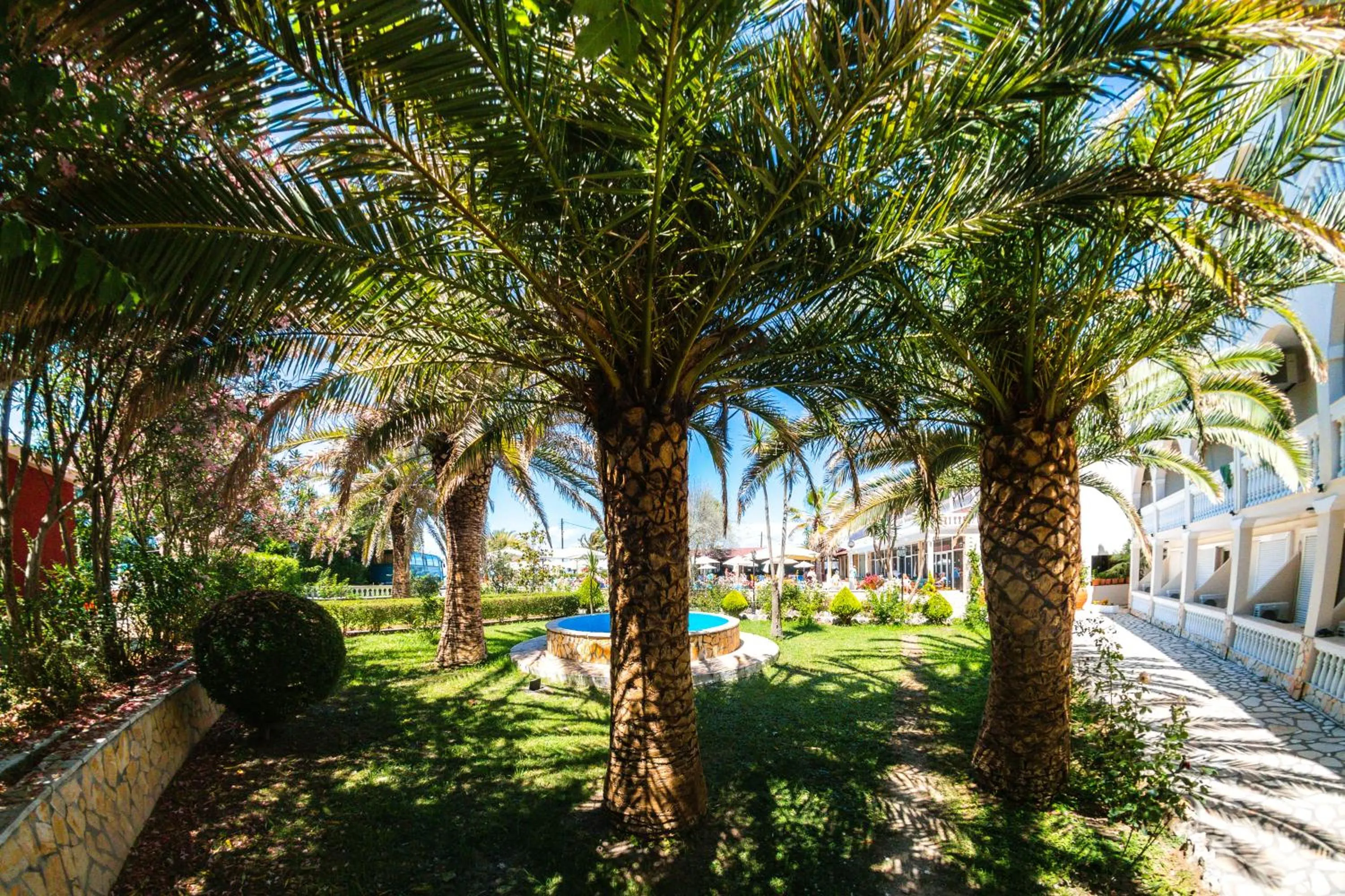 Garden view in Angela Beach Hotel & Apts