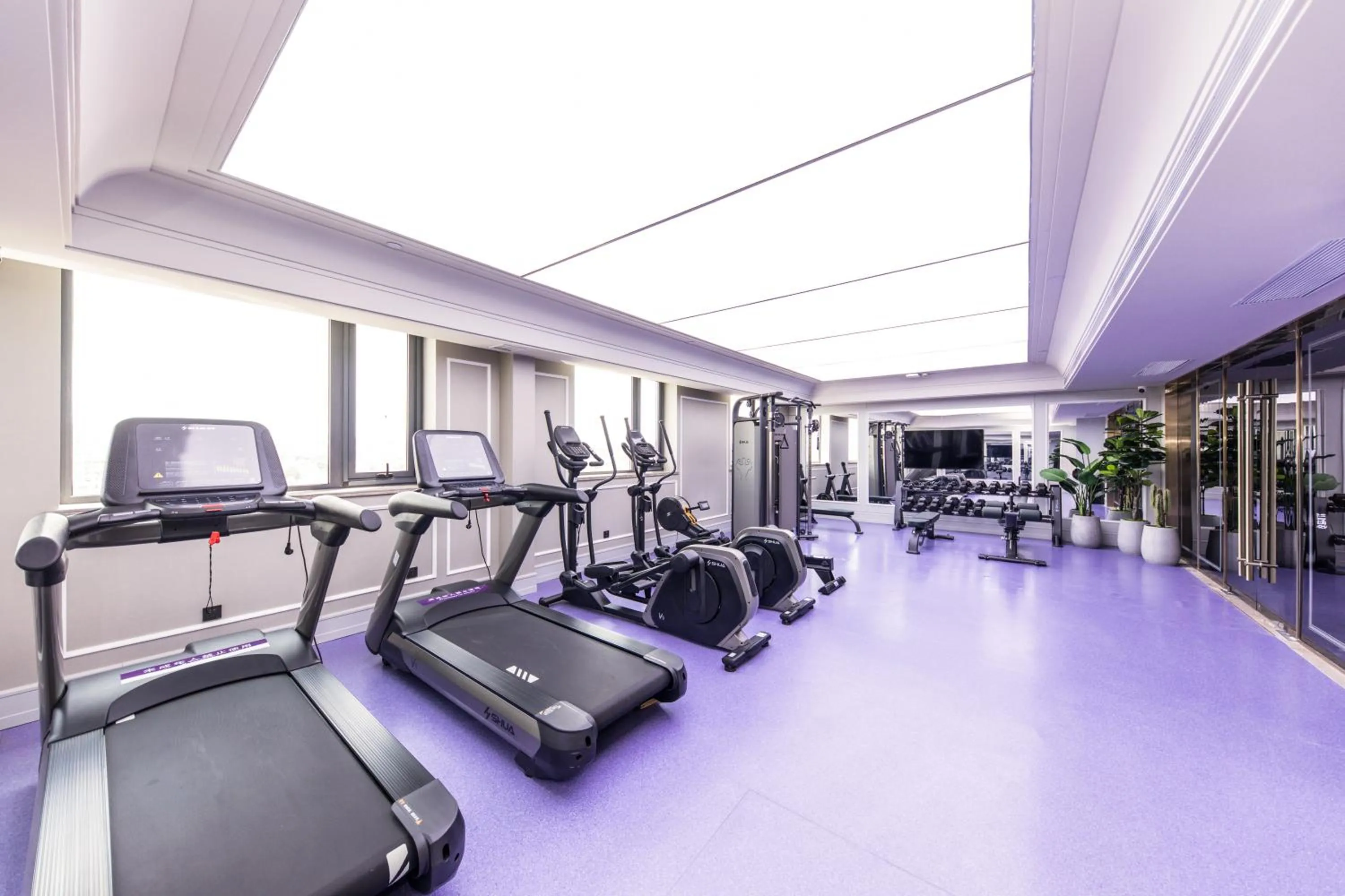 Fitness centre/facilities in Mercure Xian City Centre