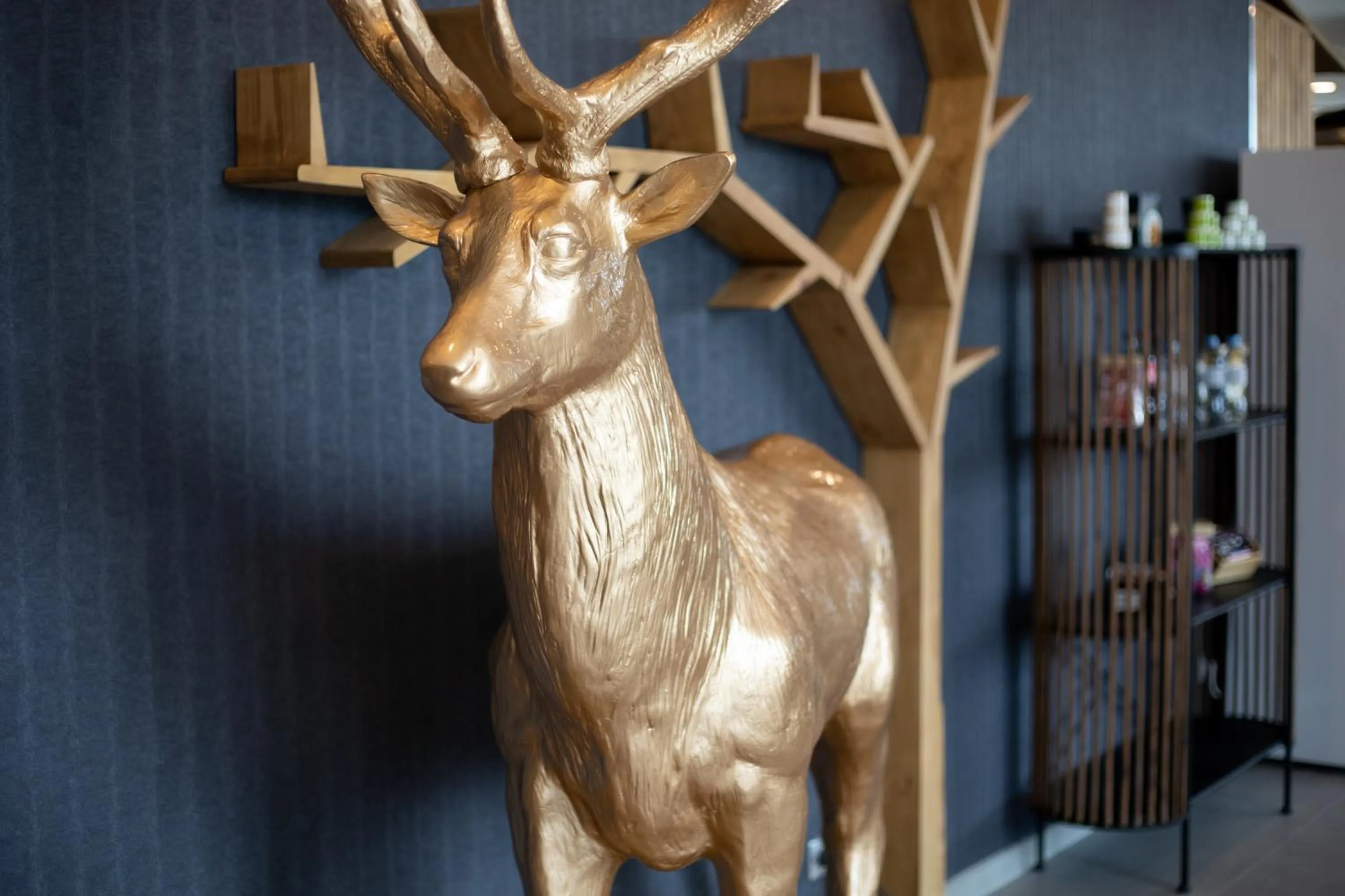 Property building in ibis Styles Contres-Cheverny